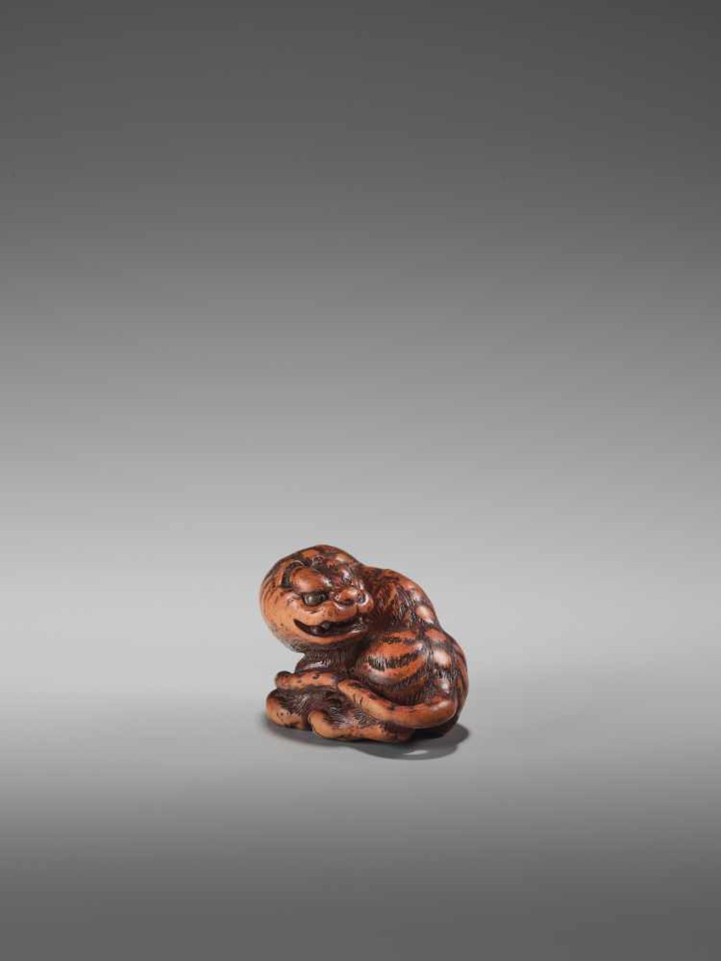 A FINE WOOD NETSUKE OF A TIGER BY TOMINBy Tomin, signed Minko, wood netsukeJapan, Tsu, Ise province,