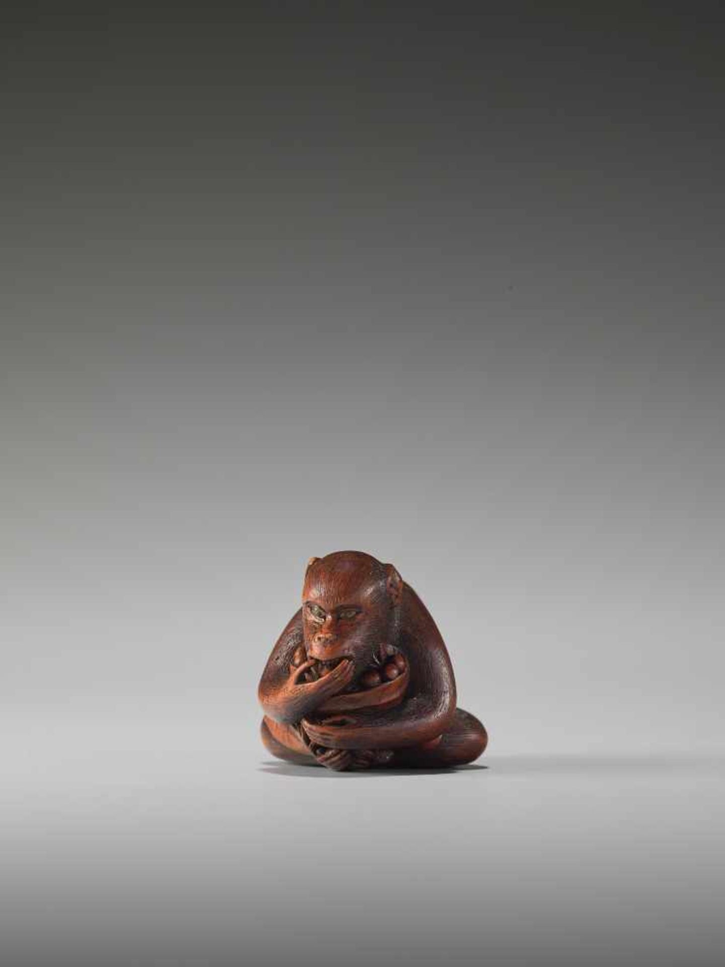 AN EXCELLENT WOOD NETSUKE OF A MONKEY EATING BERRIES BY KANO TOMOKAZUBy Tomokazu, wood netsukeJapan, - Image 4 of 11