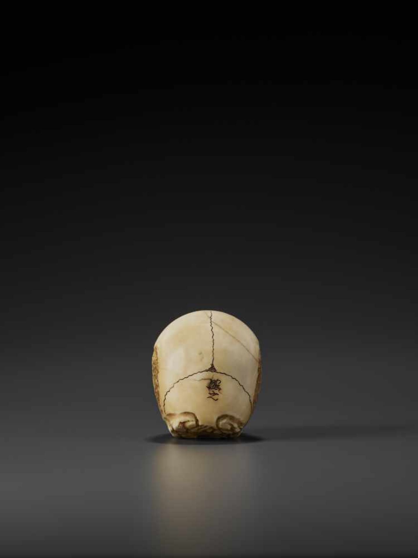 A LARGE IVORY NETSUKE OF AN ANATOMICALLY CORRECT SKULL BY TERUYUKI By Teruyuki, ivory - Image 4 of 11