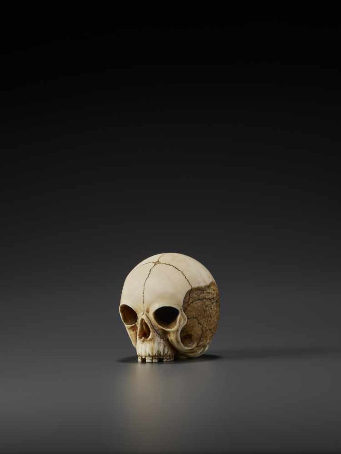 A LARGE IVORY NETSUKE OF AN ANATOMICALLY CORRECT SKULL BY TERUYUKI By Teruyuki, ivory - Image 2 of 11