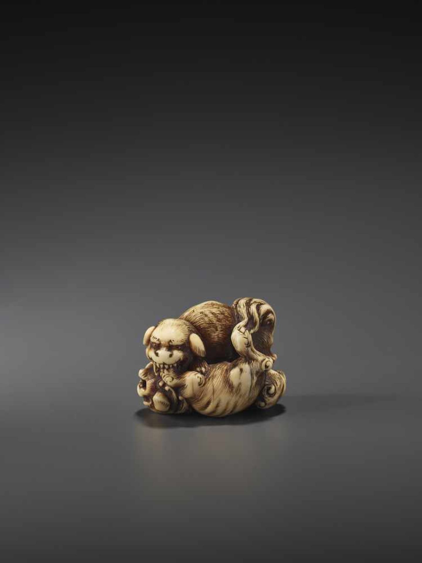 A FINE IVORY NETSUKE OF TWO FIGHTING SHISHI BY KINSHI By Kinshi, ivory netsukeJapan, 19th century, - Image 3 of 10