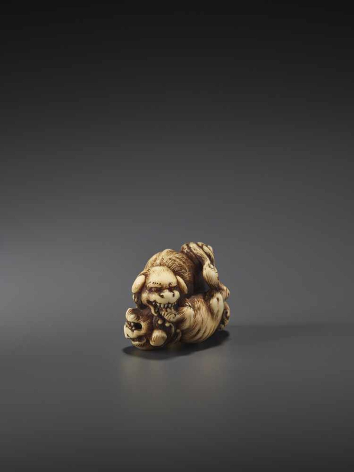 A FINE IVORY NETSUKE OF TWO FIGHTING SHISHI BY KINSHI By Kinshi, ivory netsukeJapan, 19th century, - Image 8 of 10