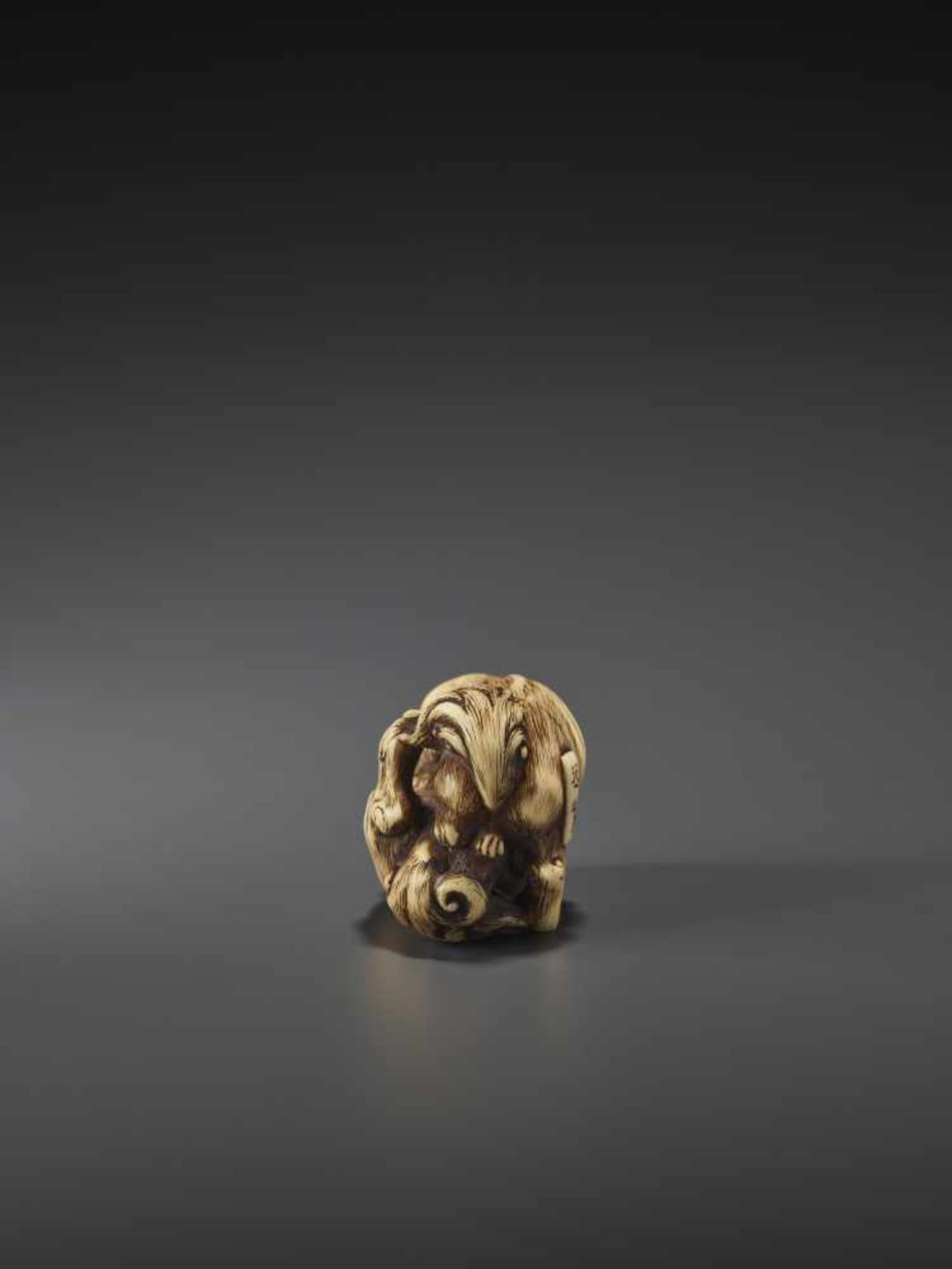 A FINE IVORY NETSUKE OF TWO FIGHTING SHISHI BY KINSHI By Kinshi, ivory netsukeJapan, 19th century, - Image 5 of 10