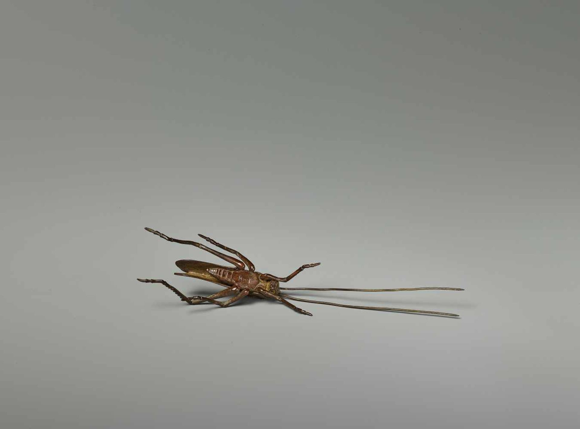 A RARE JIZAI OKIMONO OF A CRICKET, EDO PERIOD Japan, 18th/19th century. The miniature bronze model - Image 7 of 8