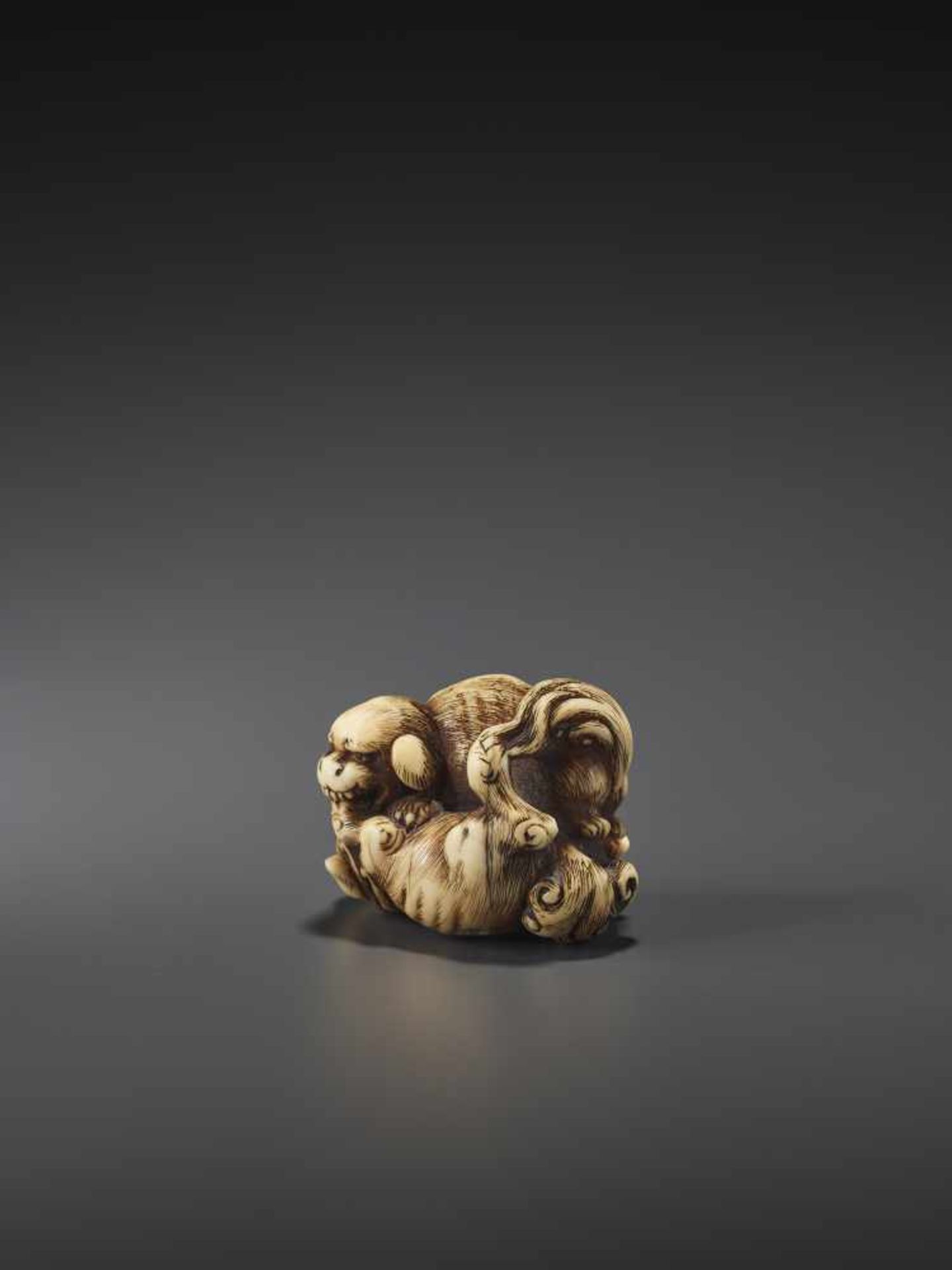 A FINE IVORY NETSUKE OF TWO FIGHTING SHISHI BY KINSHI By Kinshi, ivory netsukeJapan, 19th century, - Image 4 of 10