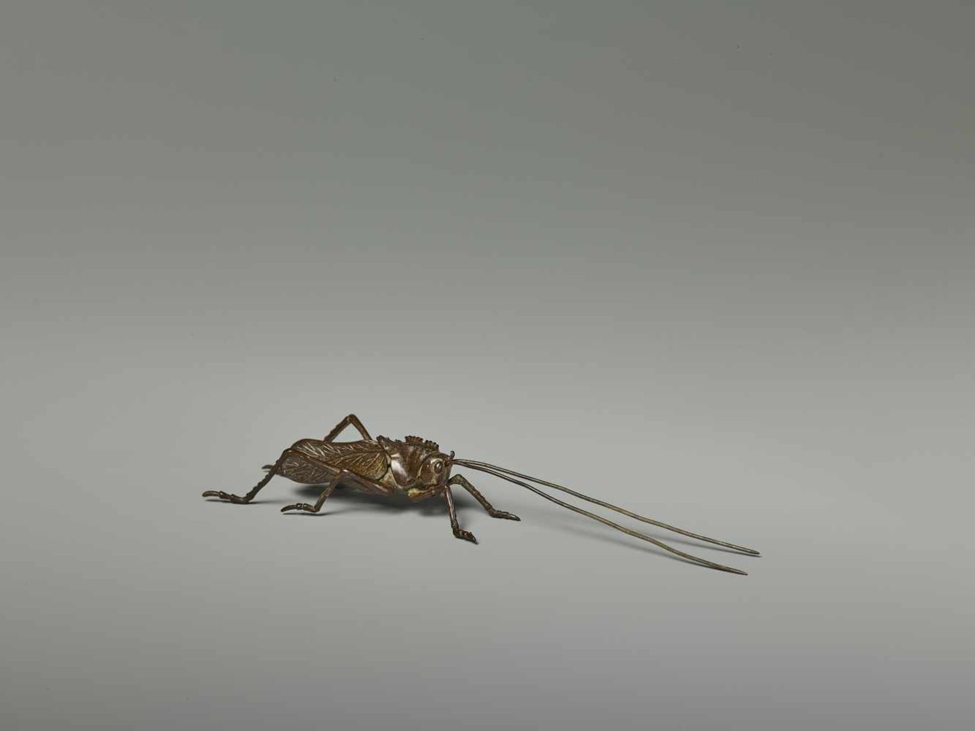 A RARE JIZAI OKIMONO OF A CRICKET, EDO PERIOD Japan, 18th/19th century. The miniature bronze model - Image 5 of 8