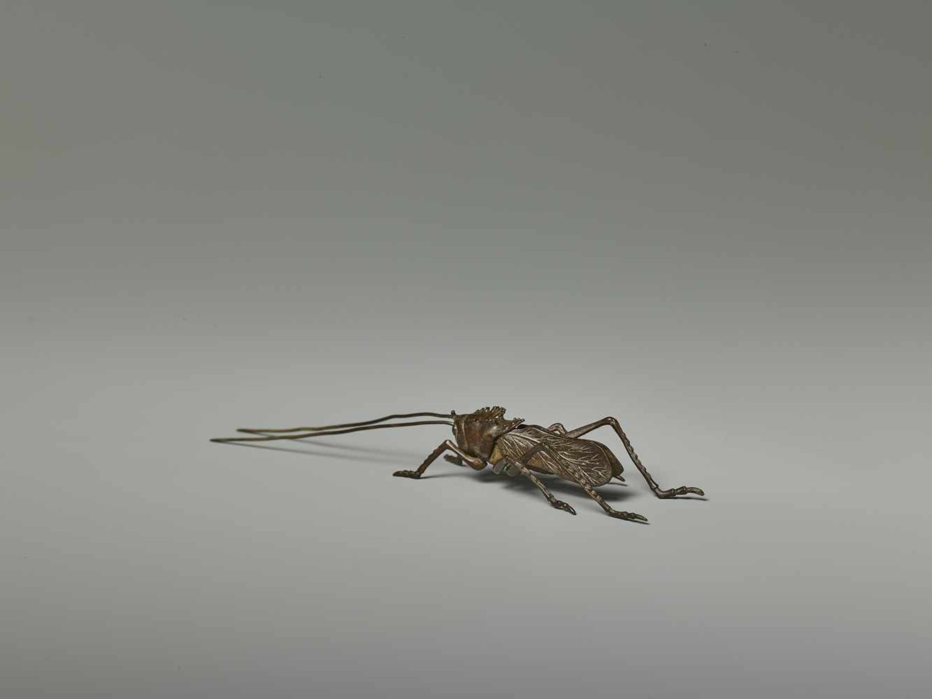 A RARE JIZAI OKIMONO OF A CRICKET, EDO PERIOD Japan, 18th/19th century. The miniature bronze model - Image 3 of 8