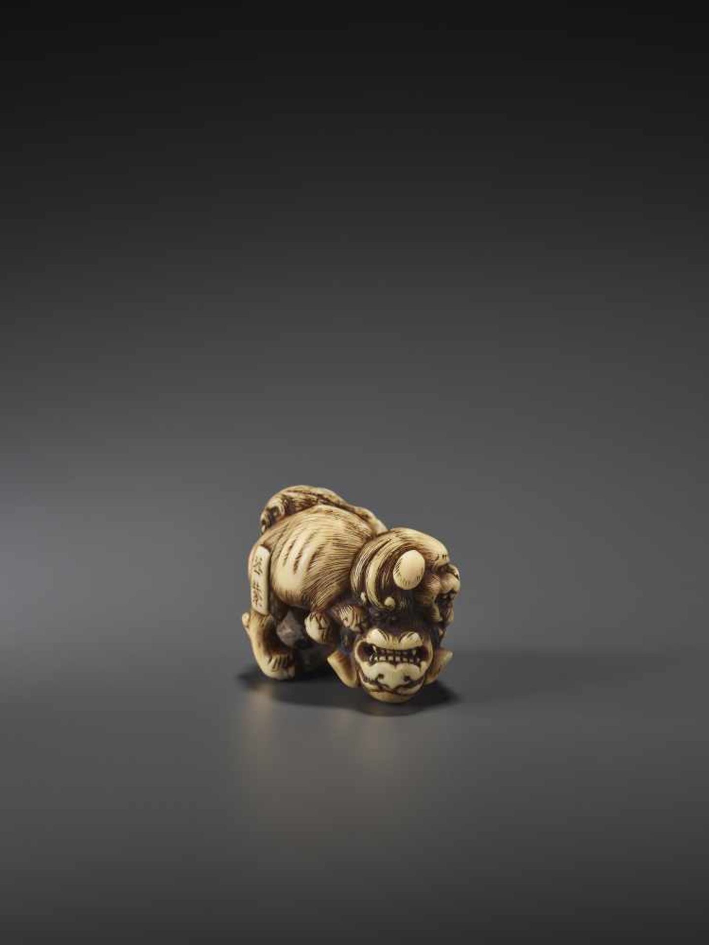 A FINE IVORY NETSUKE OF TWO FIGHTING SHISHI BY KINSHI By Kinshi, ivory netsukeJapan, 19th century, - Image 7 of 10