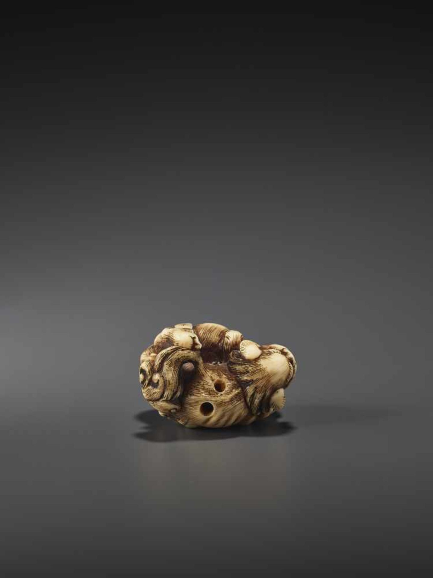A FINE IVORY NETSUKE OF TWO FIGHTING SHISHI BY KINSHI By Kinshi, ivory netsukeJapan, 19th century, - Image 9 of 10