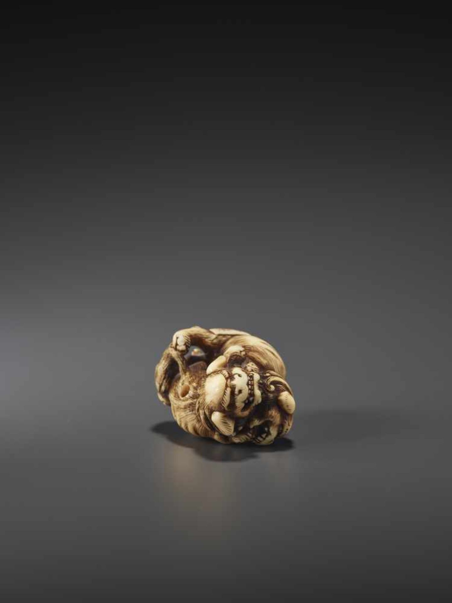 A FINE IVORY NETSUKE OF TWO FIGHTING SHISHI BY KINSHI By Kinshi, ivory netsukeJapan, 19th century, - Image 2 of 10