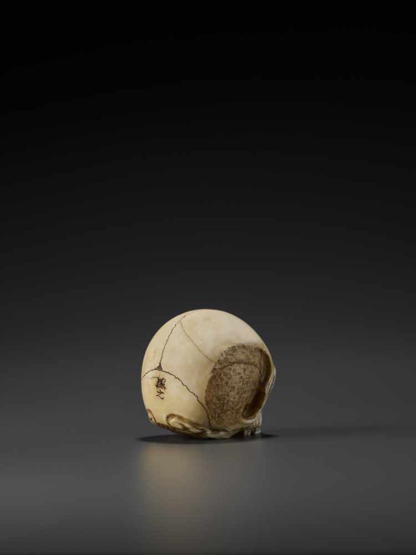 A LARGE IVORY NETSUKE OF AN ANATOMICALLY CORRECT SKULL BY TERUYUKI By Teruyuki, ivory - Image 5 of 11