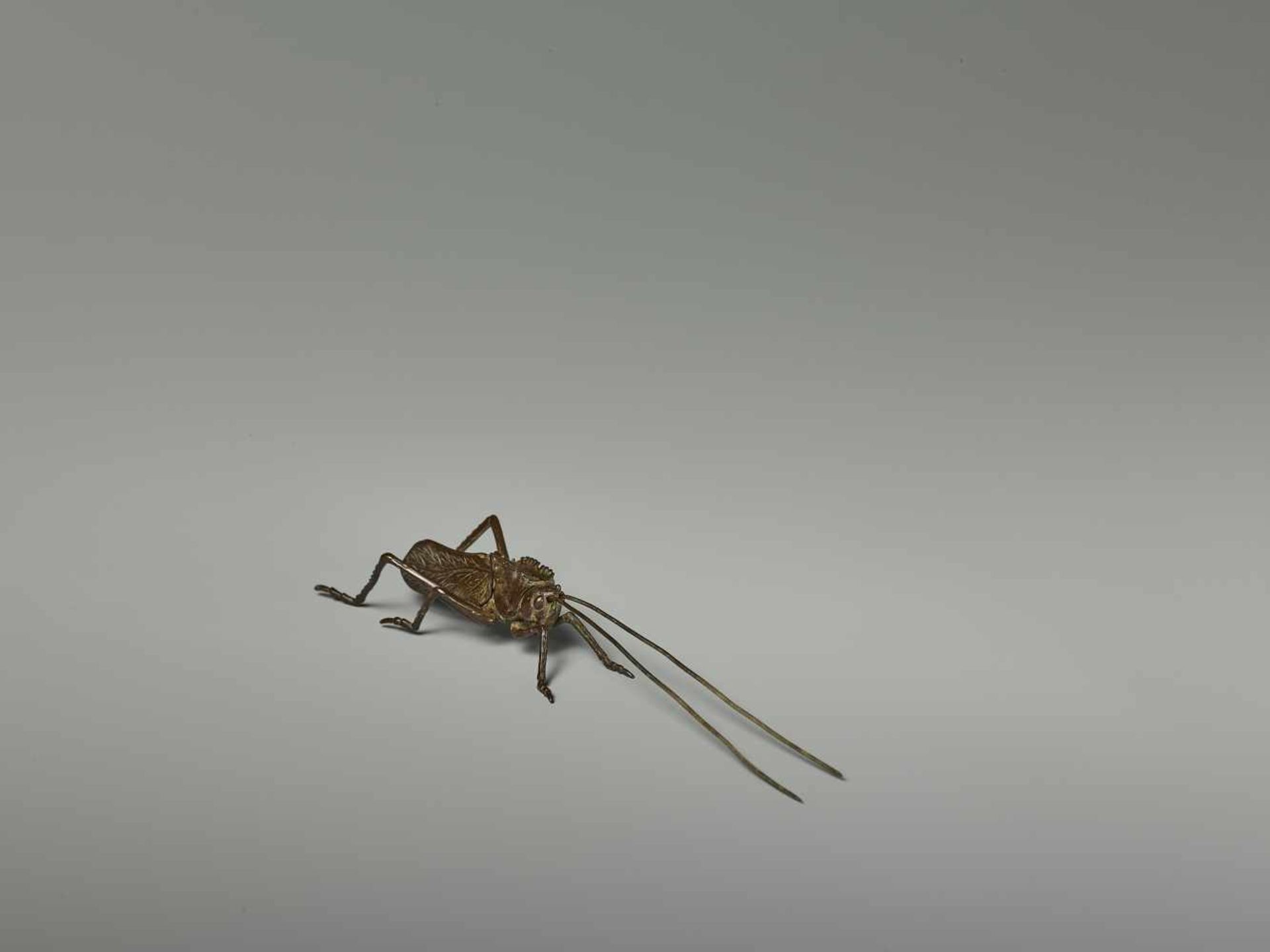 A RARE JIZAI OKIMONO OF A CRICKET, EDO PERIOD Japan, 18th/19th century. The miniature bronze model - Image 6 of 8