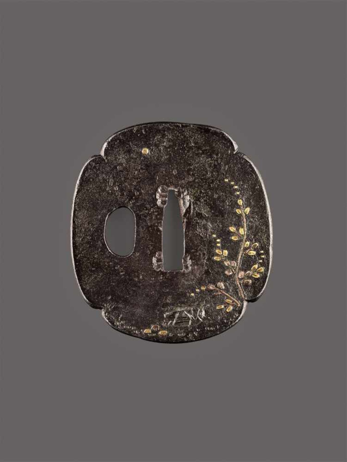 A FINE TSUBA WITH GRASSHOPPER Unsigned, iron, gold and copperOf Mokko Gata shape with one open hitsu