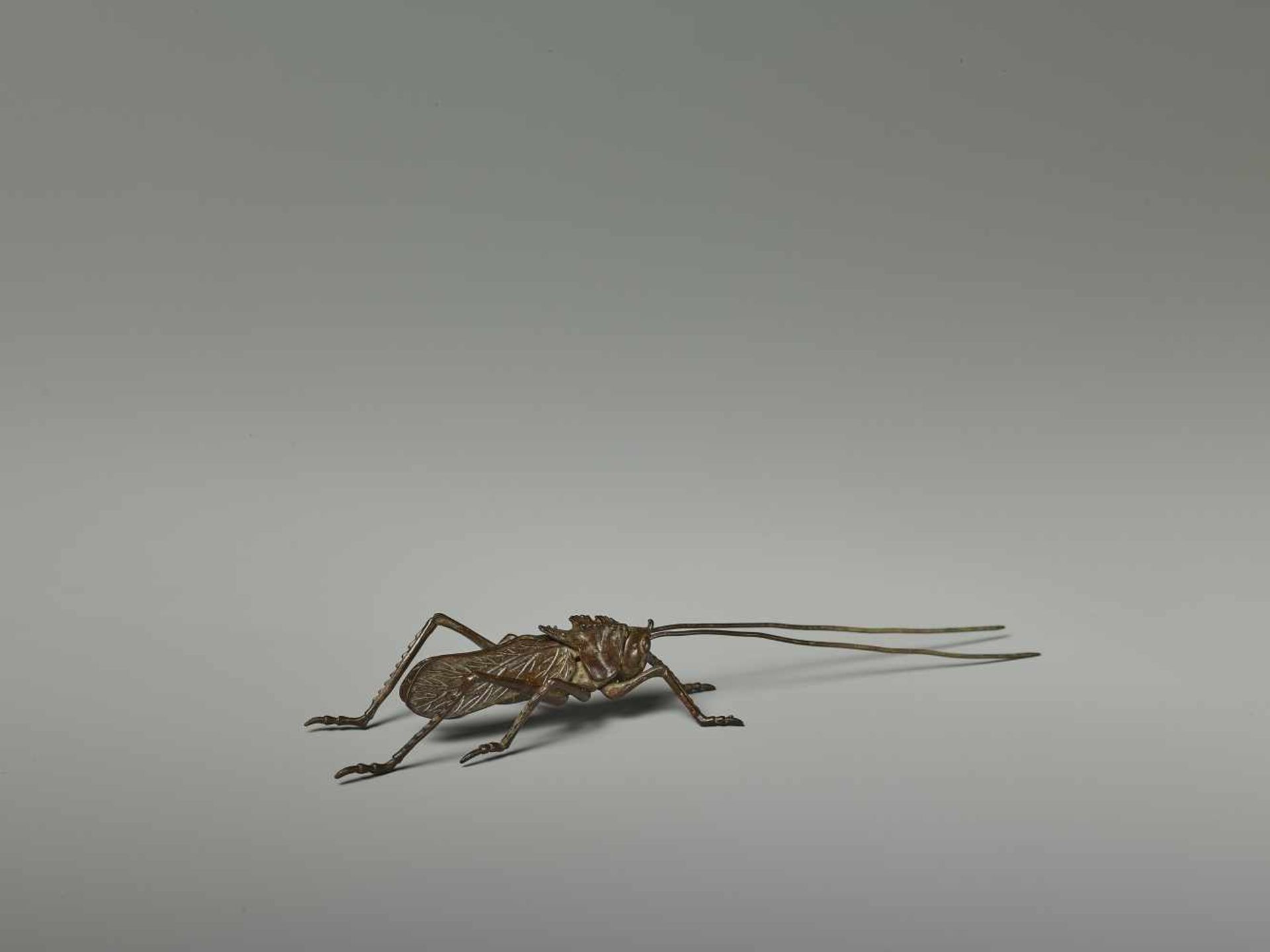 A RARE JIZAI OKIMONO OF A CRICKET, EDO PERIOD Japan, 18th/19th century. The miniature bronze model - Image 4 of 8