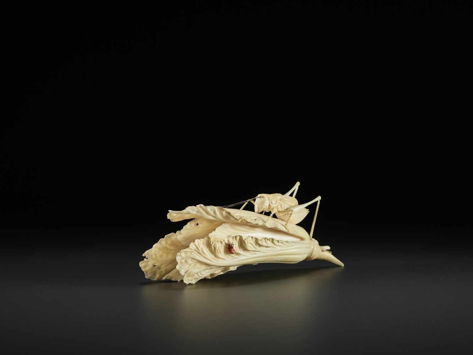 AN IVORY CABBAGE AND GRASSHOPPER CARVING, QING China, around 1900. Partially stained ivory. - Image 8 of 10