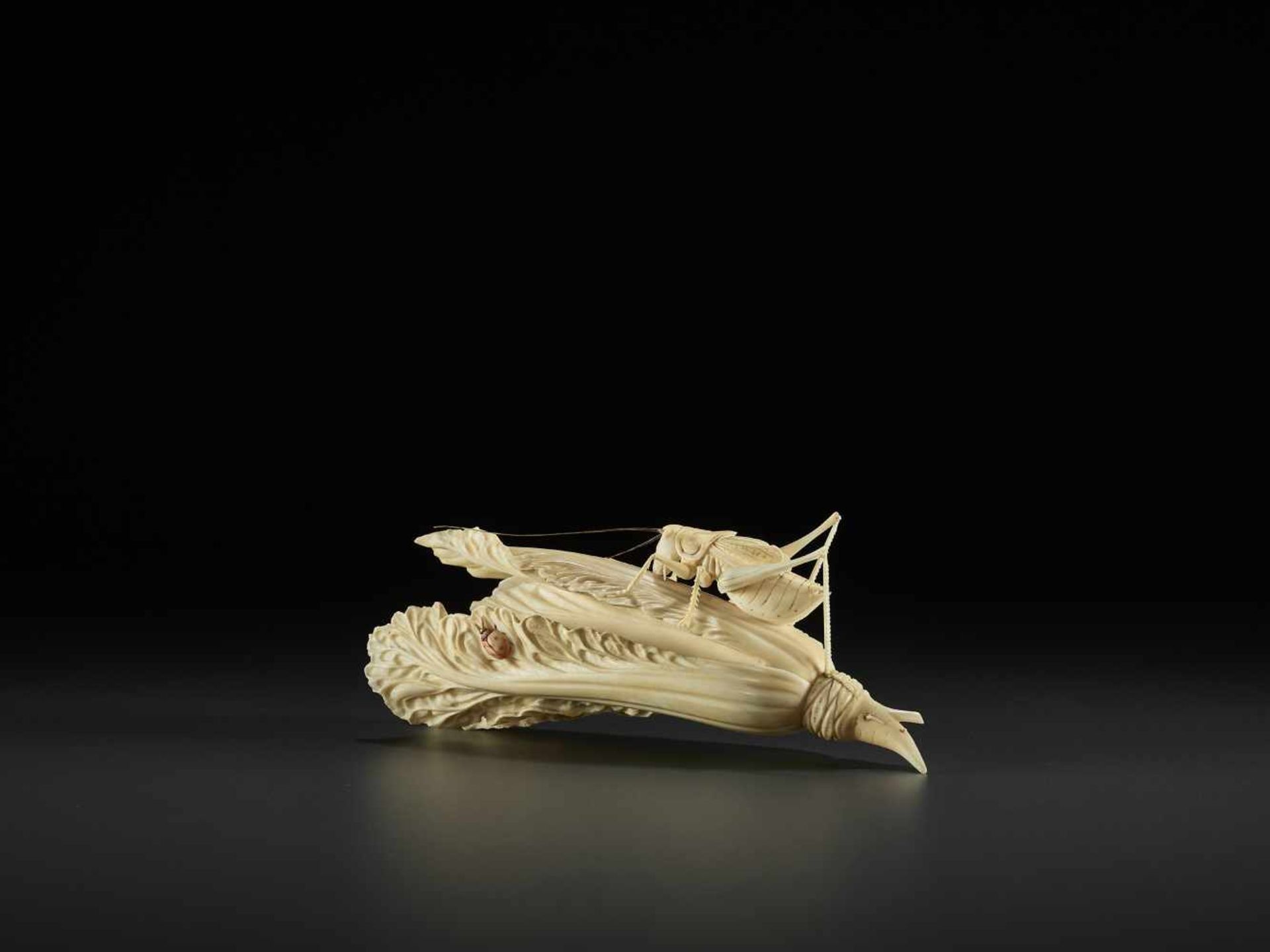 AN IVORY CABBAGE AND GRASSHOPPER CARVING, QING China, around 1900. Partially stained ivory. - Image 3 of 10