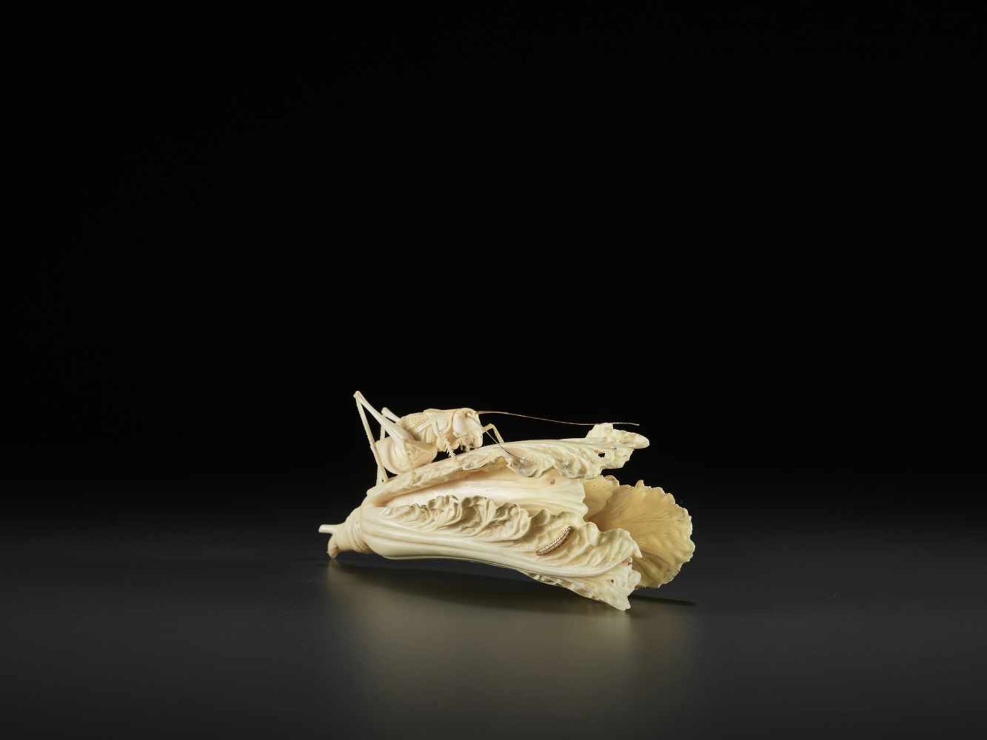 AN IVORY CABBAGE AND GRASSHOPPER CARVING, QING China, around 1900. Partially stained ivory. - Image 6 of 10