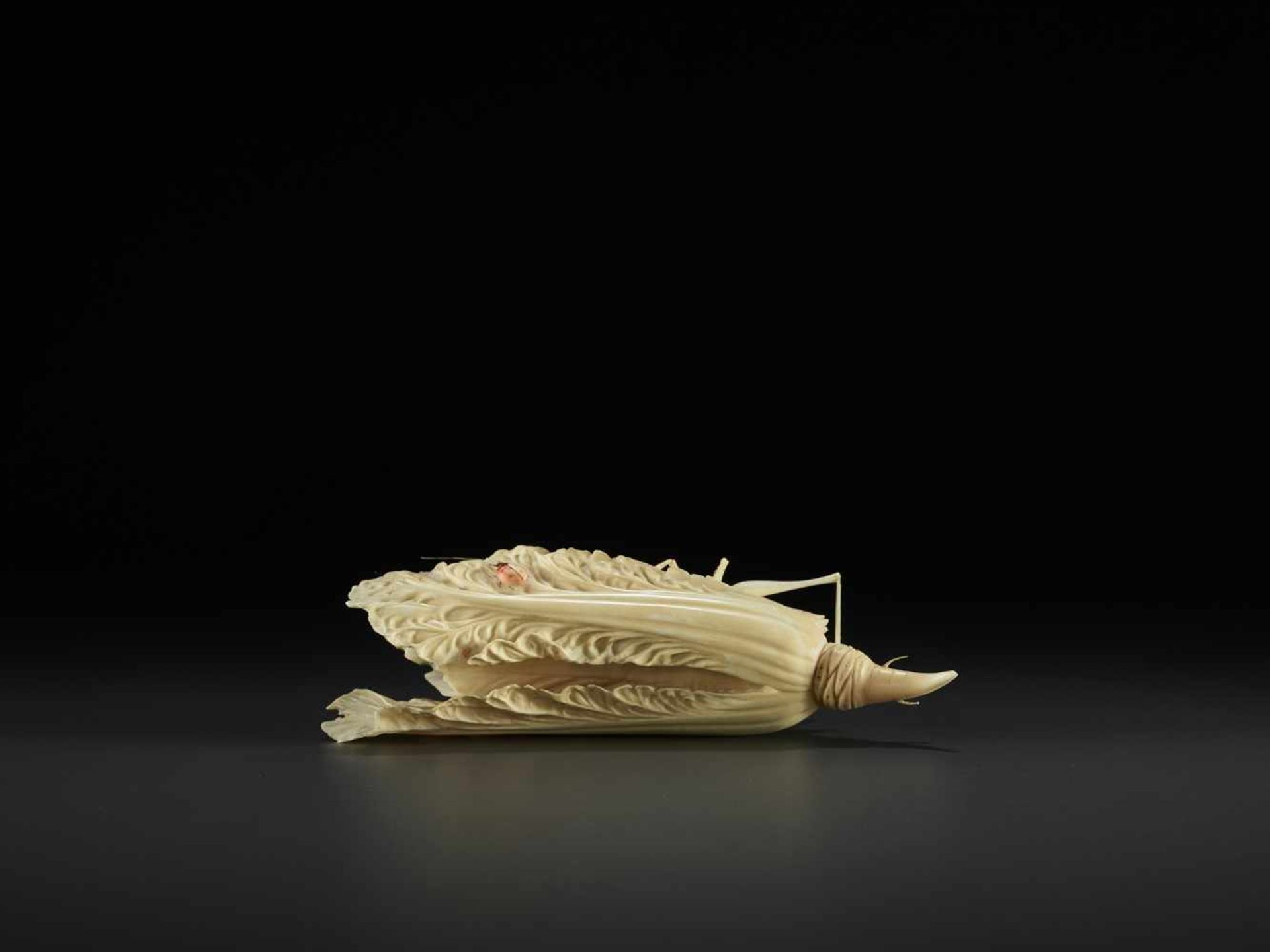 AN IVORY CABBAGE AND GRASSHOPPER CARVING, QING China, around 1900. Partially stained ivory. - Image 9 of 10