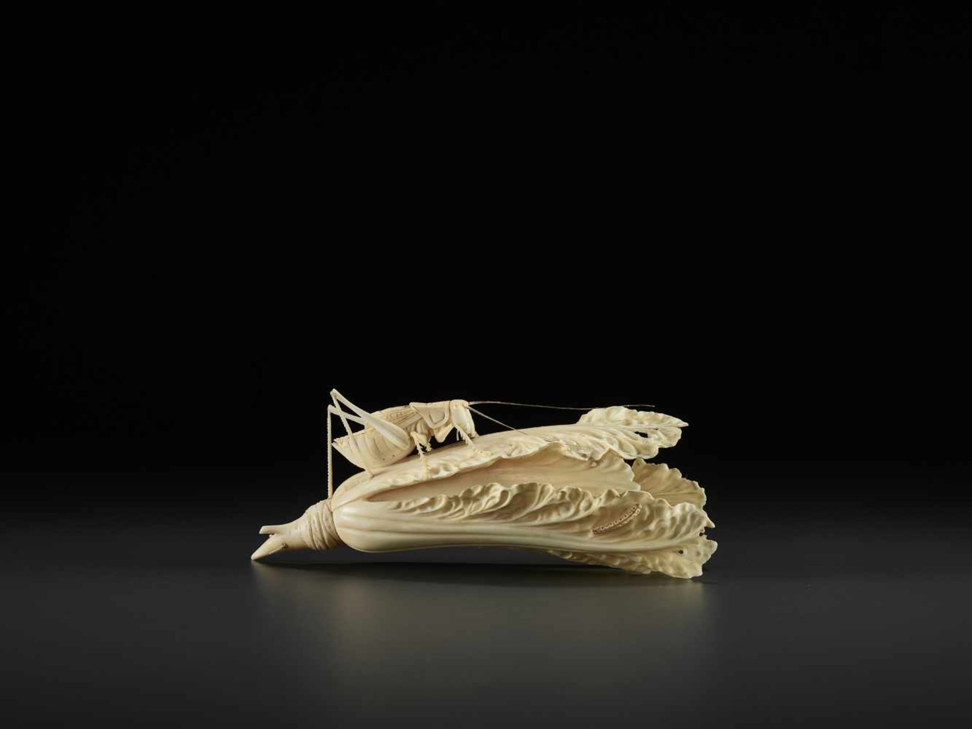 AN IVORY CABBAGE AND GRASSHOPPER CARVING, QING China, around 1900. Partially stained ivory. - Image 5 of 10