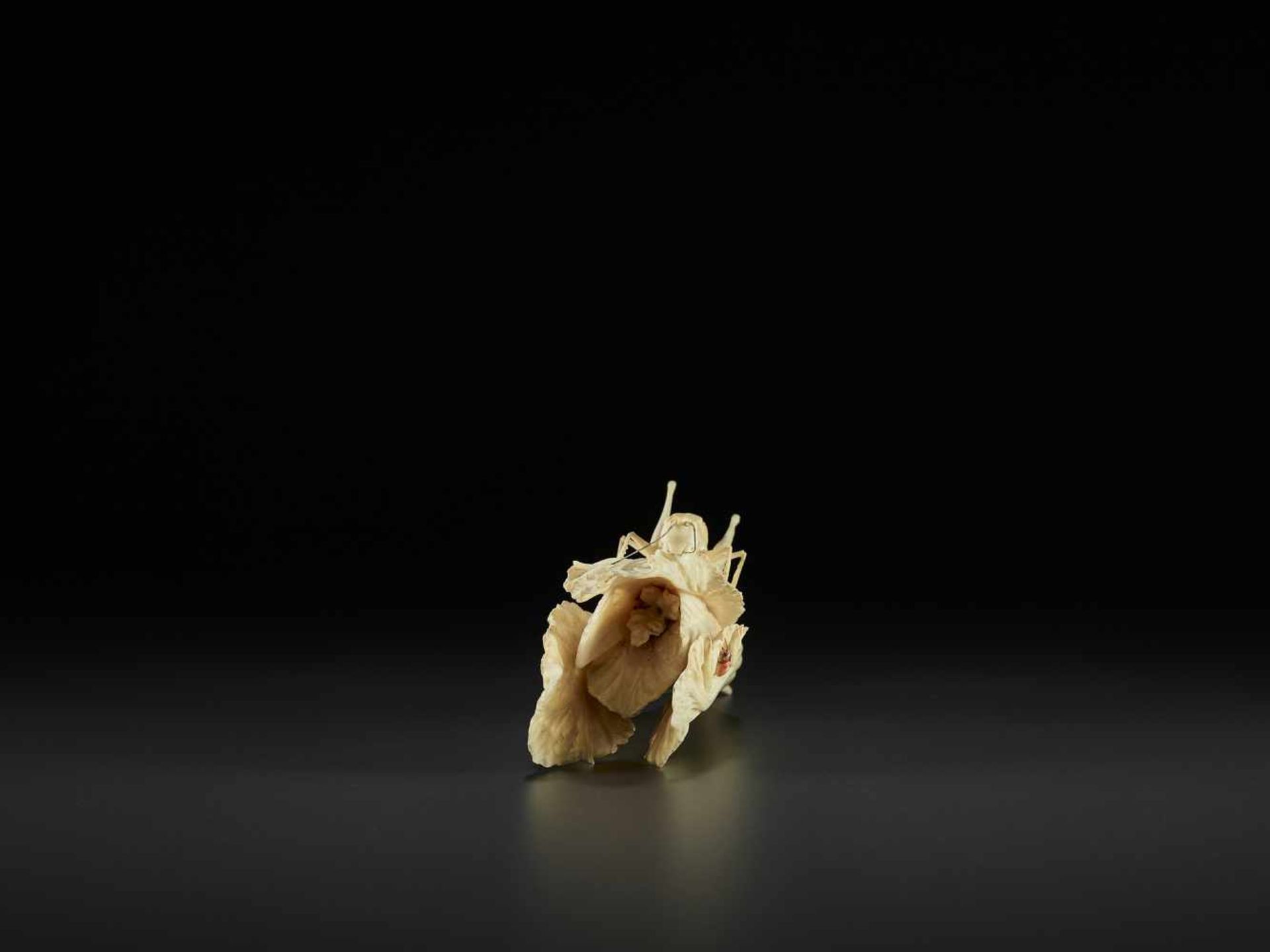 AN IVORY CABBAGE AND GRASSHOPPER CARVING, QING China, around 1900. Partially stained ivory. - Image 7 of 10