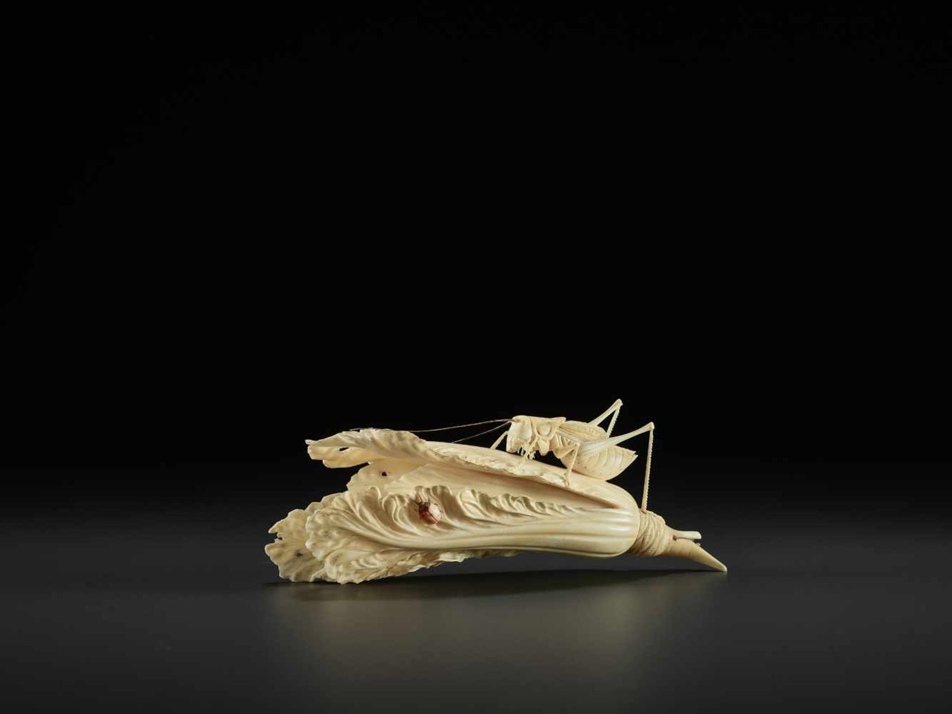 AN IVORY CABBAGE AND GRASSHOPPER CARVING, QING China, around 1900. Partially stained ivory.