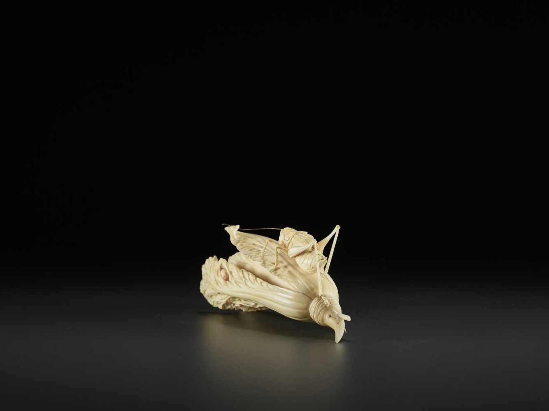 AN IVORY CABBAGE AND GRASSHOPPER CARVING, QING China, around 1900. Partially stained ivory. - Image 4 of 10