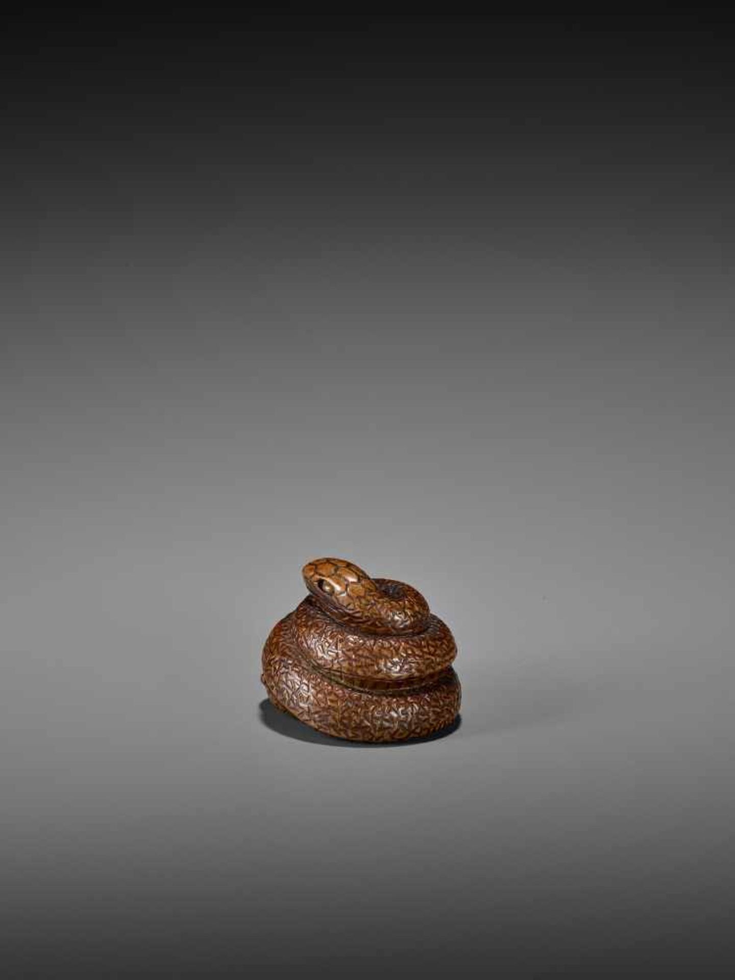 SARI: A FINE WOOD NETSUKE OF A COILED SNAKE By Sari, signed SariJapan, Iwashiro, early 19th century, - Image 6 of 9