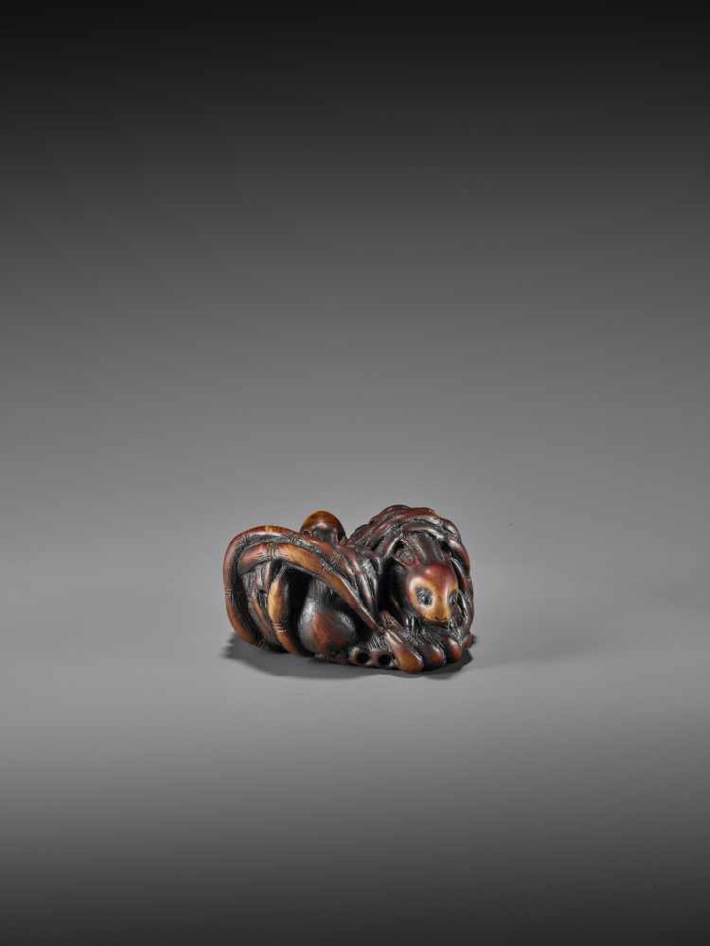 GEKKO: A RARE WOOD NETSUKE OF RABBITS IN BAMBOO By Gekko, signed GekkoJapan, 19th century, Edo - Image 10 of 11