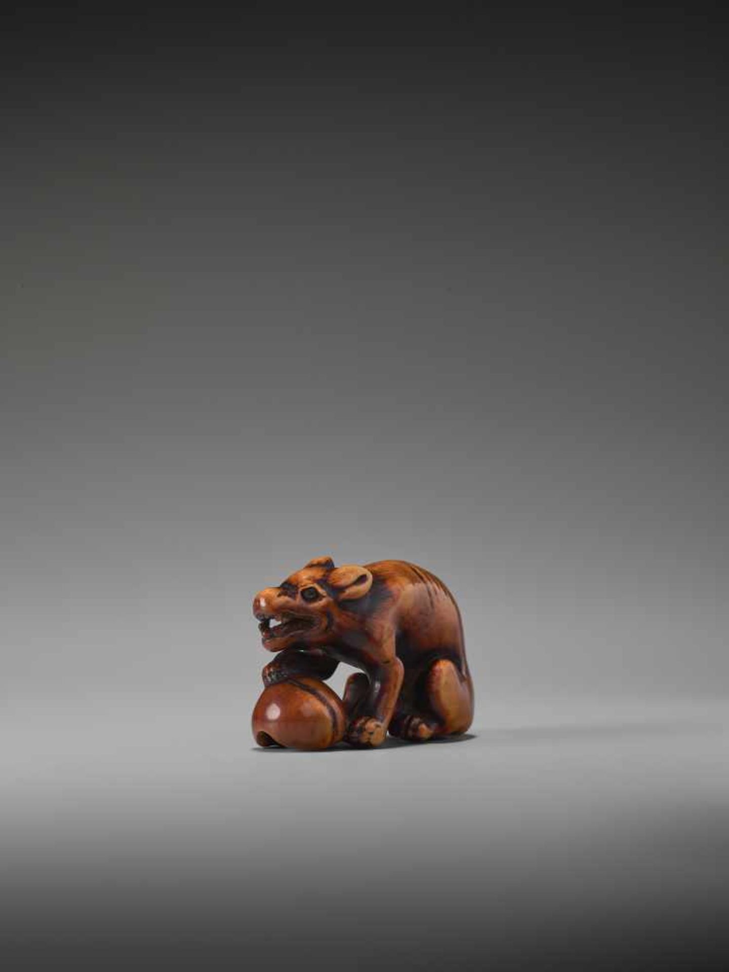A POWERFUL WOOD NETSUKE OF A WOLF WITH A SKULL UnsignedJapan, 18th century, Edo period (1615-1868) - Image 3 of 9