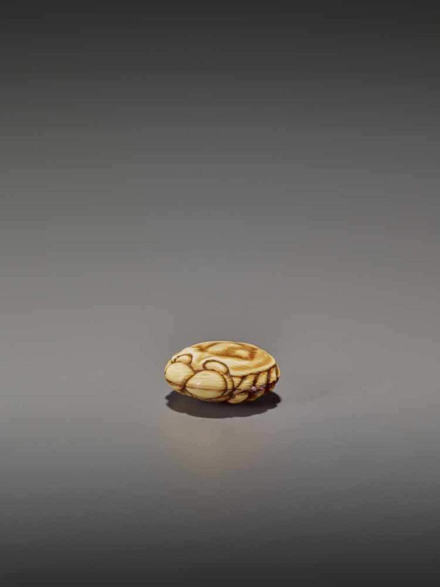 A FINELY STAINED WALRUS IVORY TWO-PART MANJU NETSUKE OF A CRAB UnsignedJapan, Osaka, early to mid- - Image 6 of 10