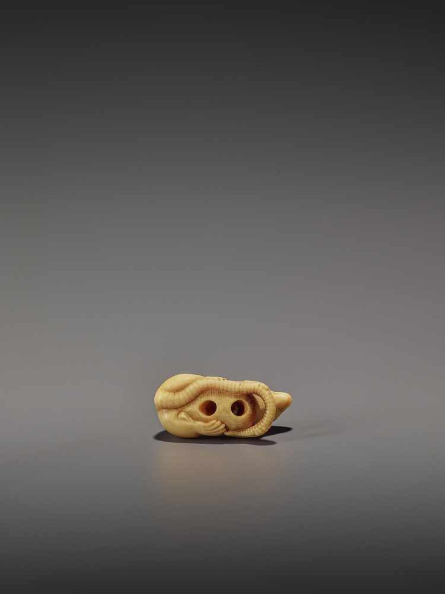 A CHARMING MARINE IVORY NETSUKE OF A RAT HOLDING ITS TAIL UnsignedJapan, 19th century, Edo period ( - Bild 10 aus 10