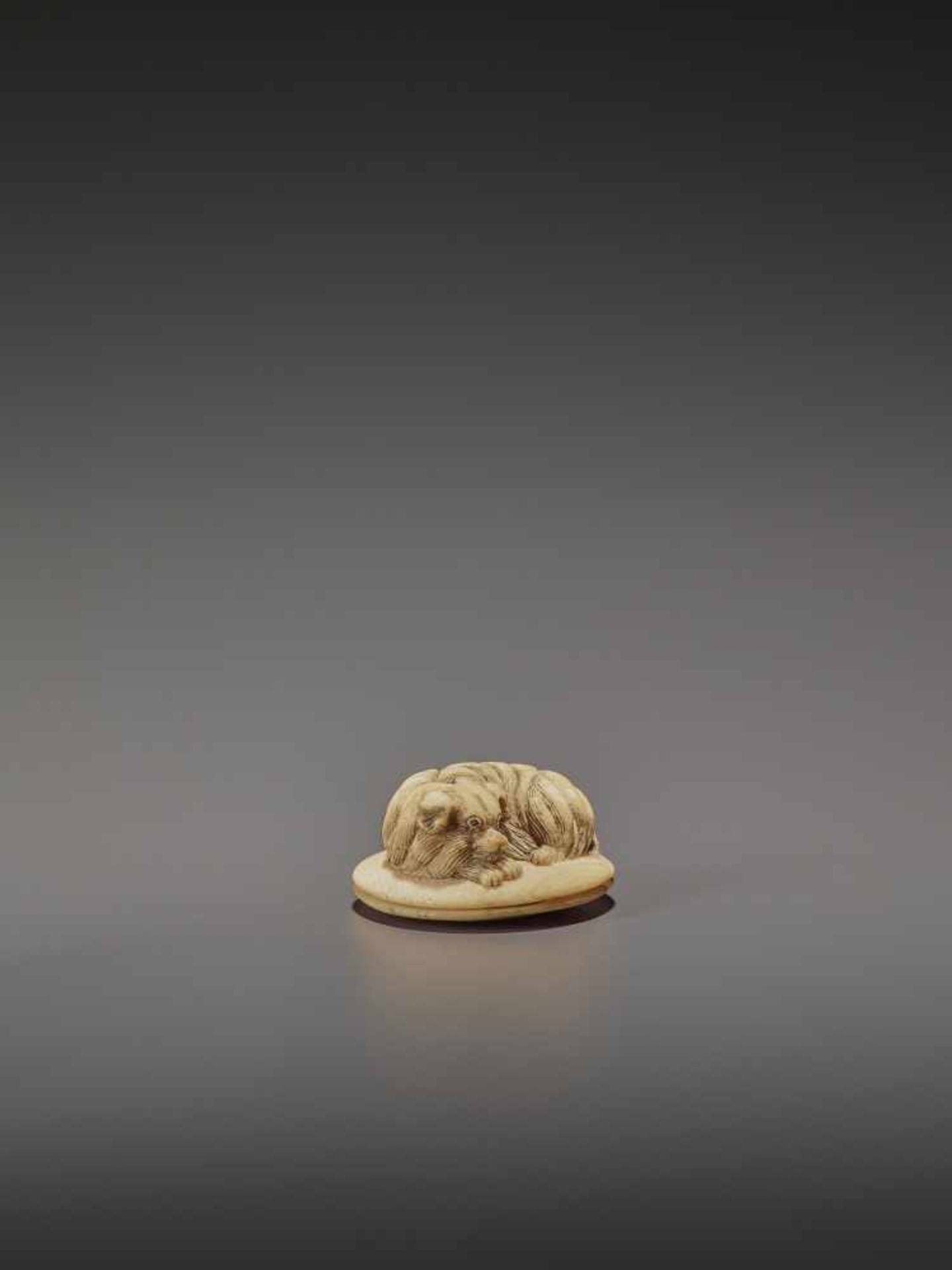 AN IVORY NETSUKE OF A SHAGGY DOG ON A ZABUTON UnsignedJapan, 19th century, Edo period (1615-1868) - Image 8 of 9