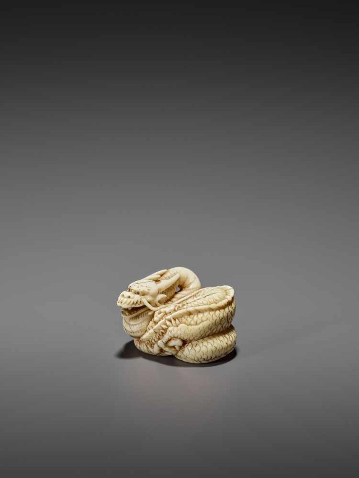 A GOOD IVORY NETSUKE OF A COILED DRAGON UnsignedJapan, Kyoto, late 18th to early 19th century, Edo - Bild 4 aus 10