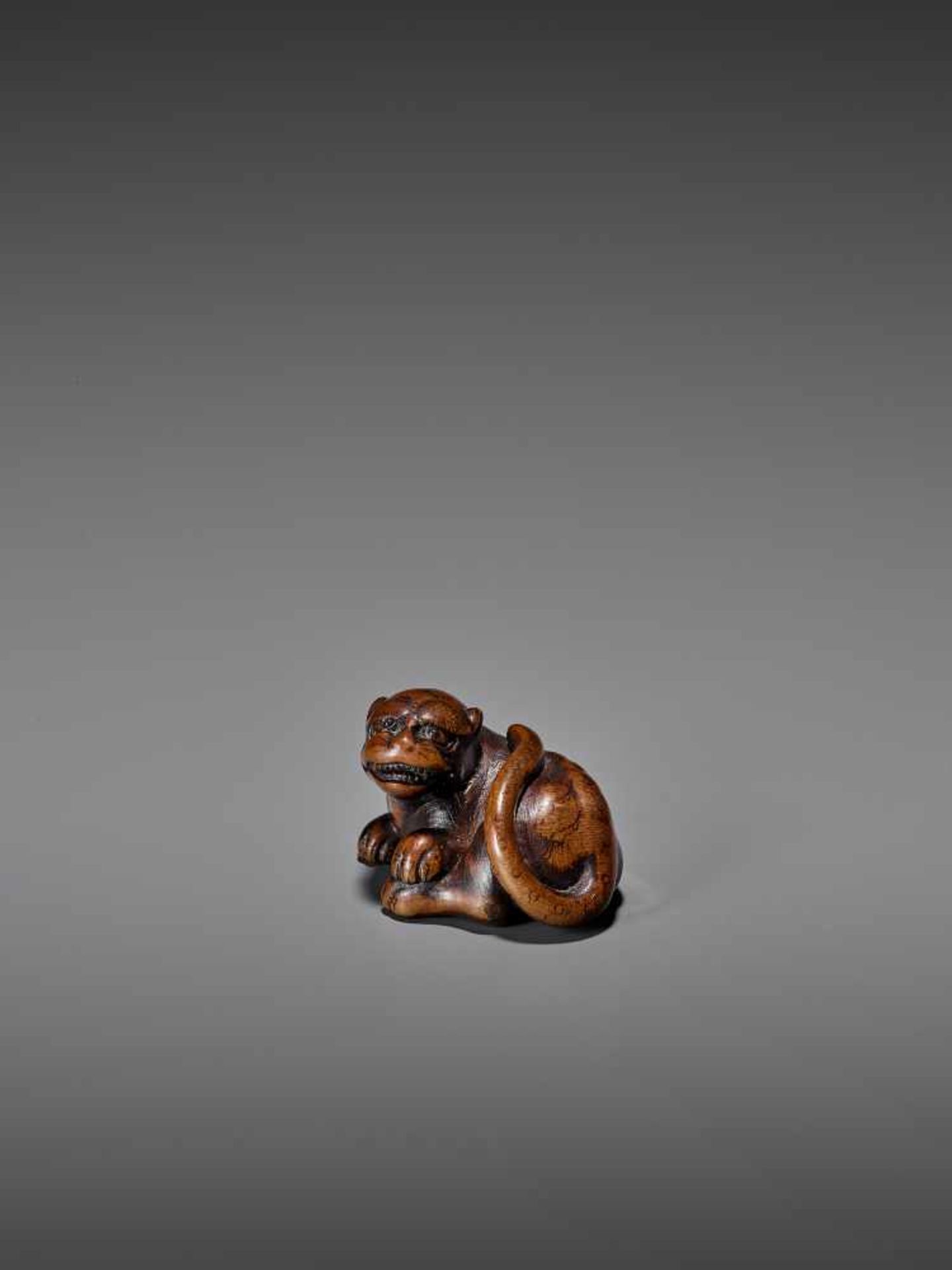 AN AMUSING WOOD NETSUKE OF A RECUMBENT TIGER UnsignedJapan, early 19th century, Edo period (1615- - Image 3 of 9