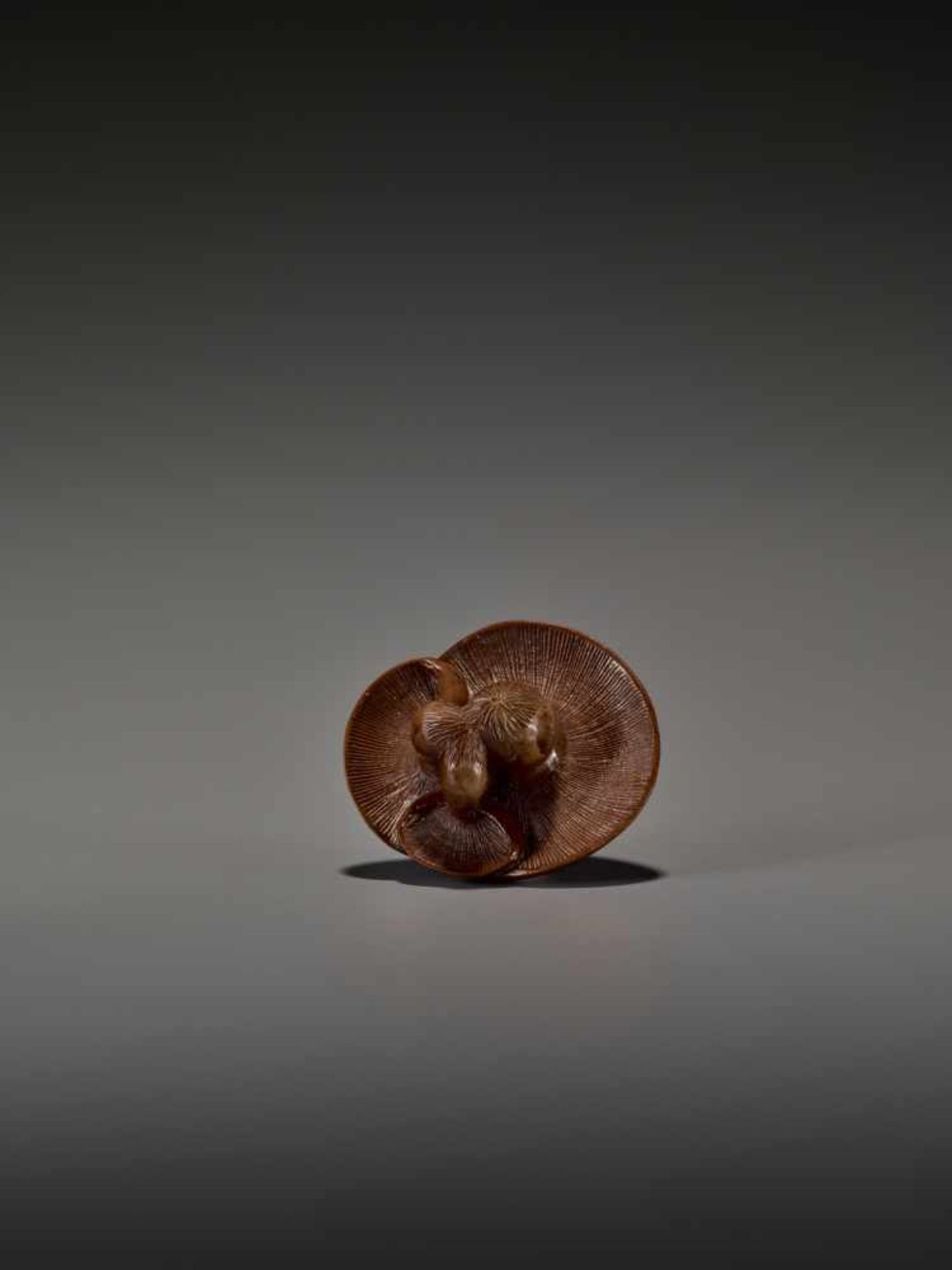 A FINE WOOD NETSUKE OF THREE MUSHROOMS UnsignedJapan, probably Nagoya, early 19th century, Edo - Bild 2 aus 7