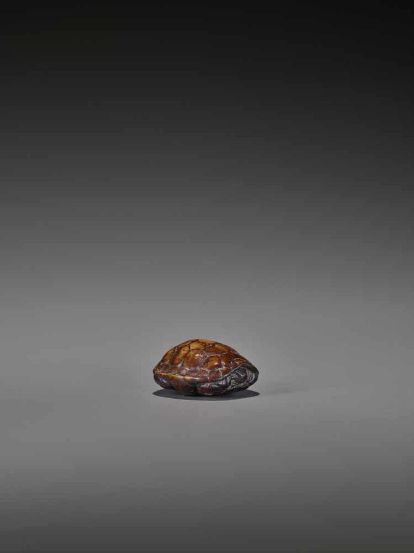 A WOOD NETSUKE OF A RETRACTED TORTOISE UnsignedJapan, 18th century, Edo period (1615-1868)This early