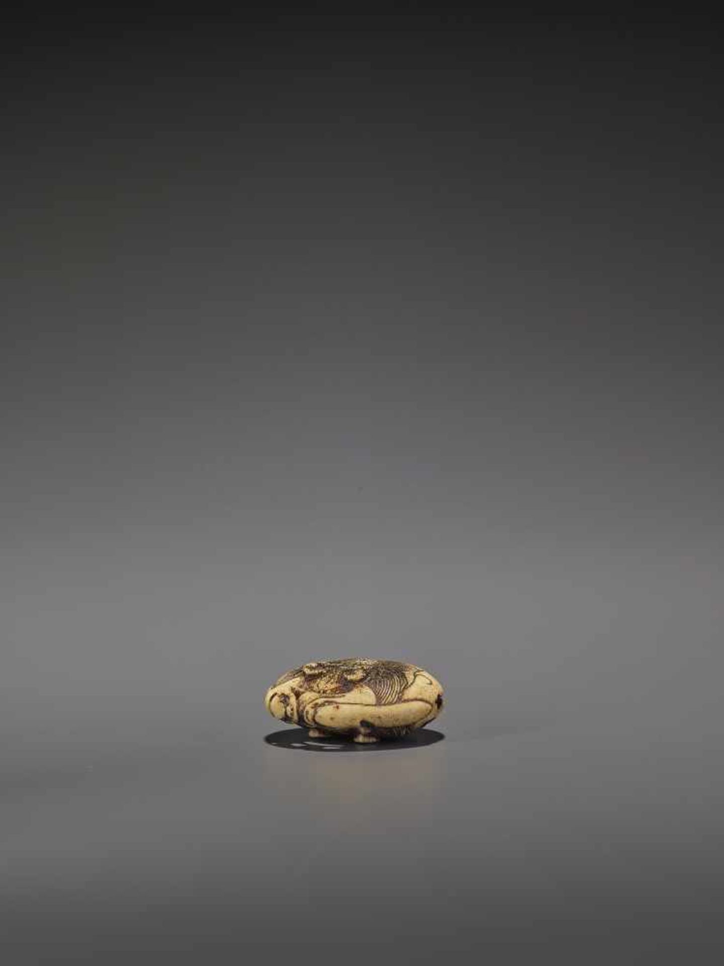 AN ASAKUSA SCHOOL STAG ANTLER NETSUKE OF A DRAGON MOKUGYO UnsignedJapan, Edo, Asakusa school, mid- - Image 8 of 9