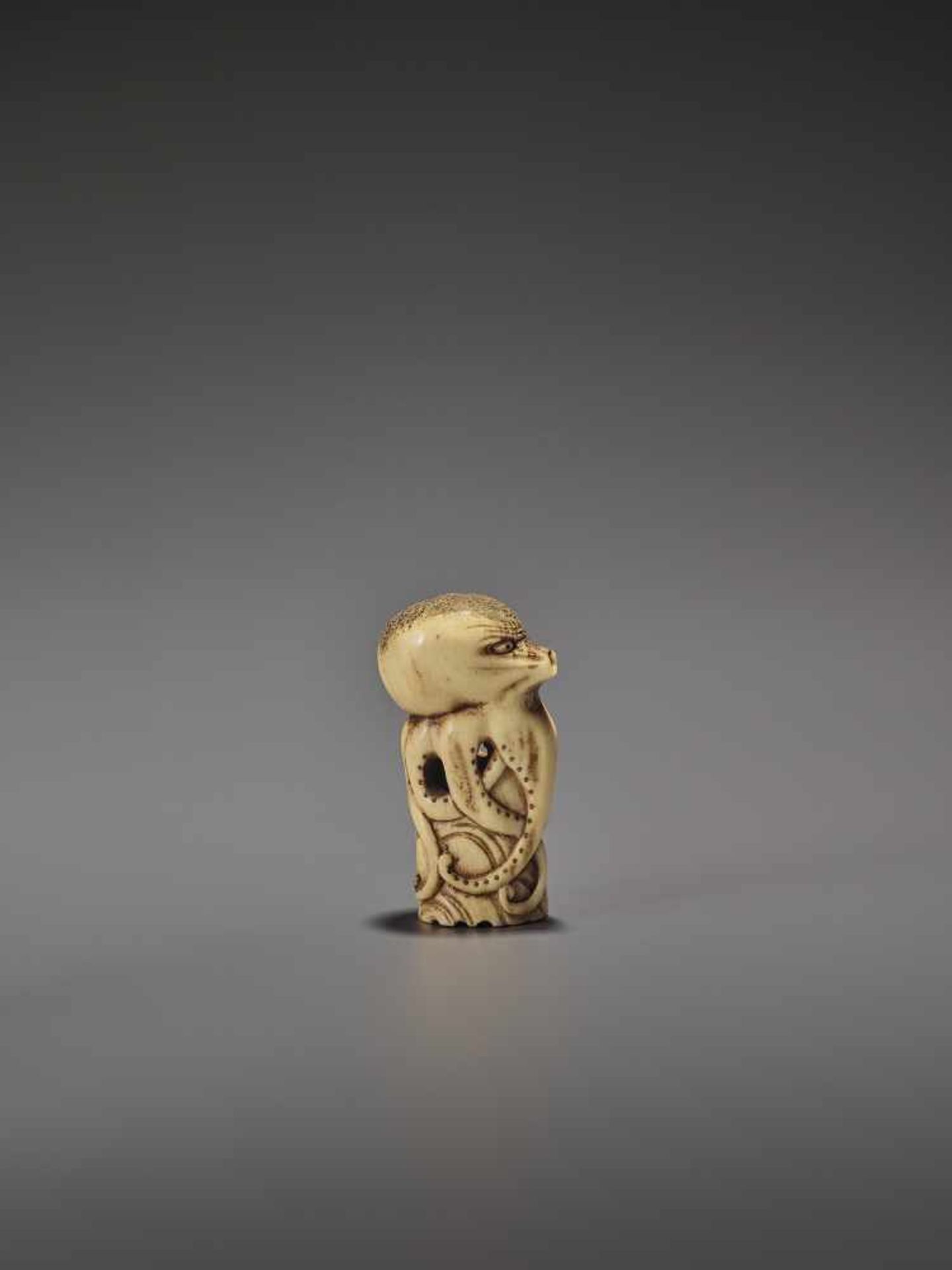 A RARE STAG ANTLER NETSUKE OF AN OCTOPUS UnsignedJapan, early 19th century, Edo period (1615-1868) - Image 2 of 10