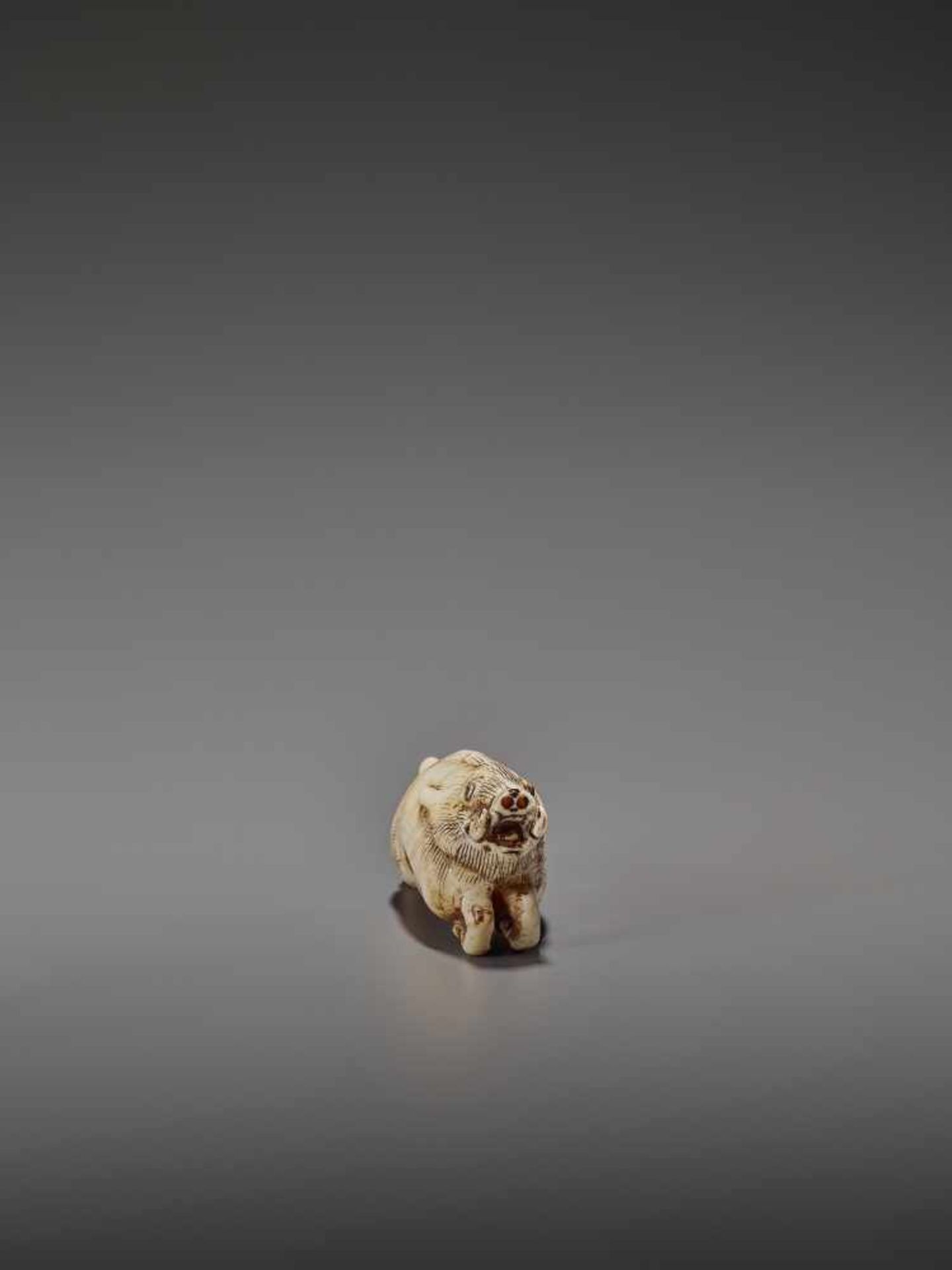 AN UNUSUAL IVORY NETSUKE OF A RUNNING BOAR UnsignedJapan, 18th century, Edo period (1615-1868)A very - Bild 9 aus 11