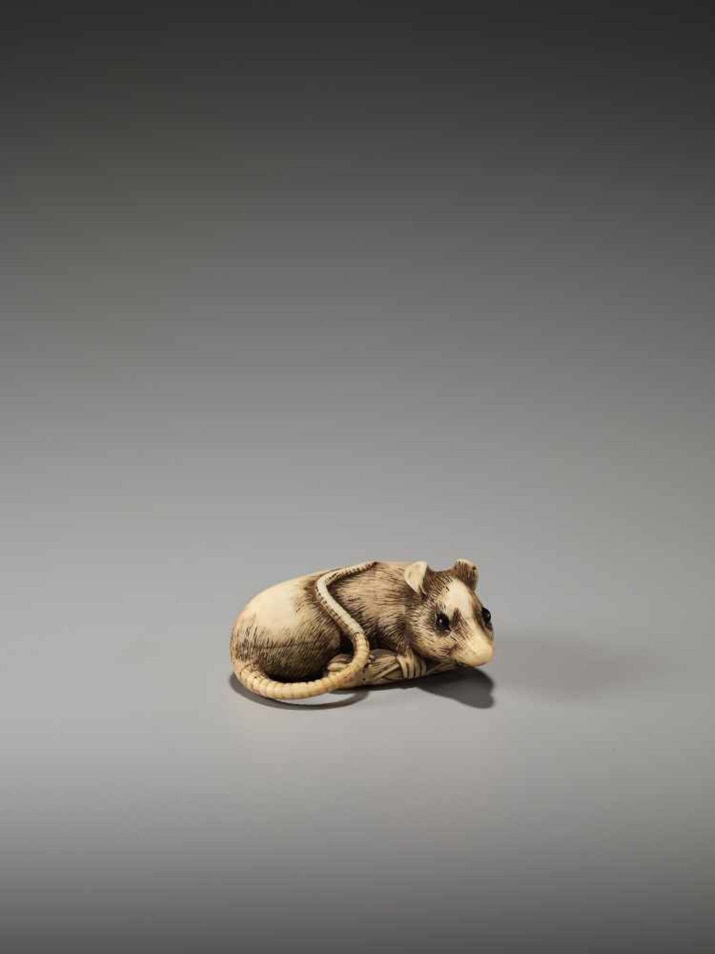 SADAYOSHI: AN EXCELLENT IVORY NETSUKE OF A RAT WITH BAMBOO NODE By Sadayoshi, signed SadayoshiJapan, - Image 5 of 11