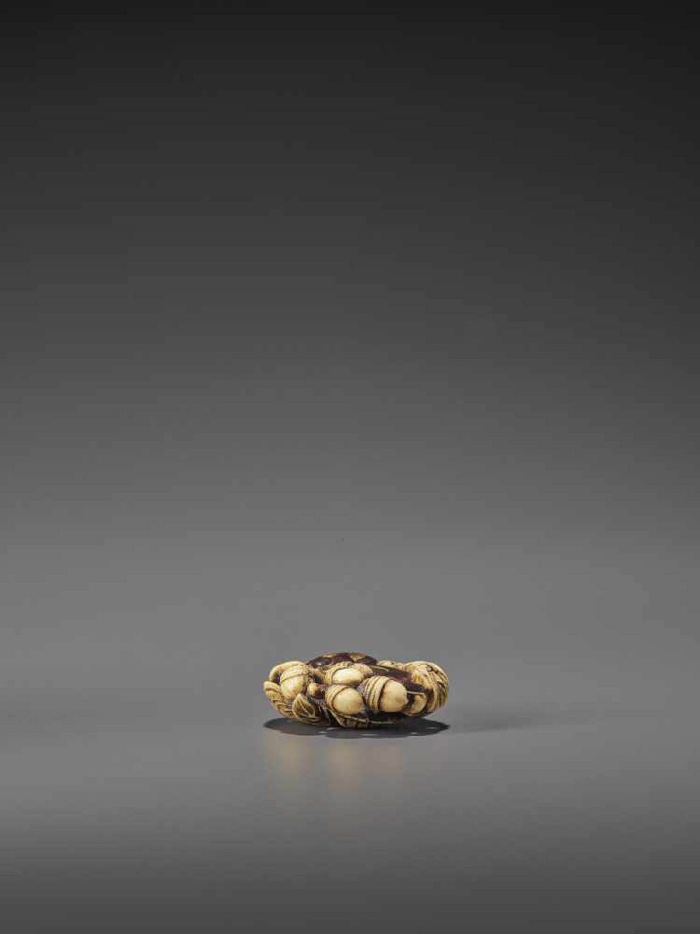 AN EXCELLENT MIXED METAL AND STAG ANTLER NETSUKE OF A SNAIL AND ACORNS UnsignedJapan, Asakusa, mid - Image 12 of 12