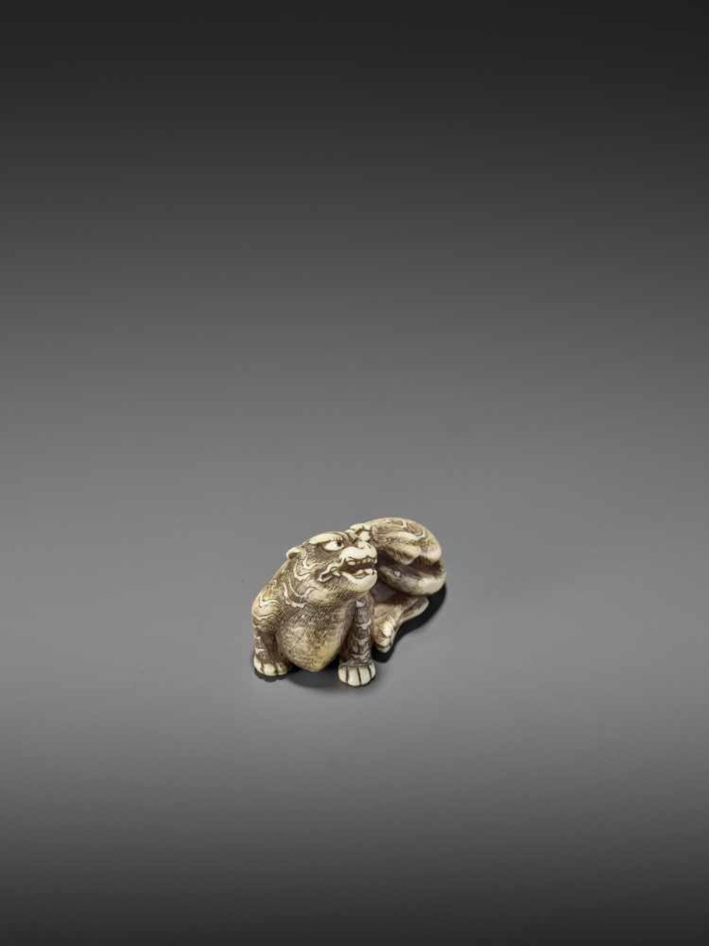 A FINE IVORY NETSUKE OF A RECUMBENT TIGER Unsigned, circle of Risuke Garaku (active ca. 1780) - Image 9 of 11