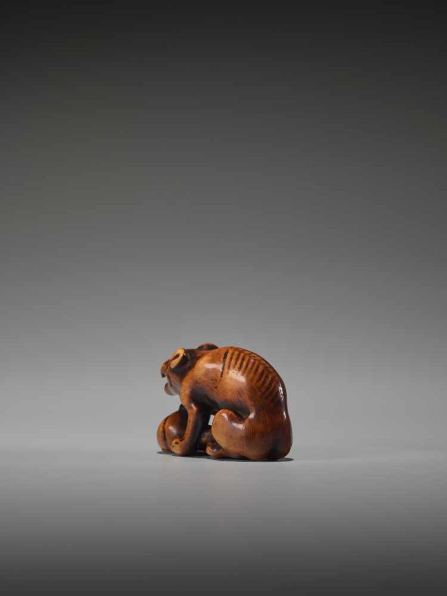 A POWERFUL WOOD NETSUKE OF A WOLF WITH A SKULL UnsignedJapan, 18th century, Edo period (1615-1868) - Image 7 of 9