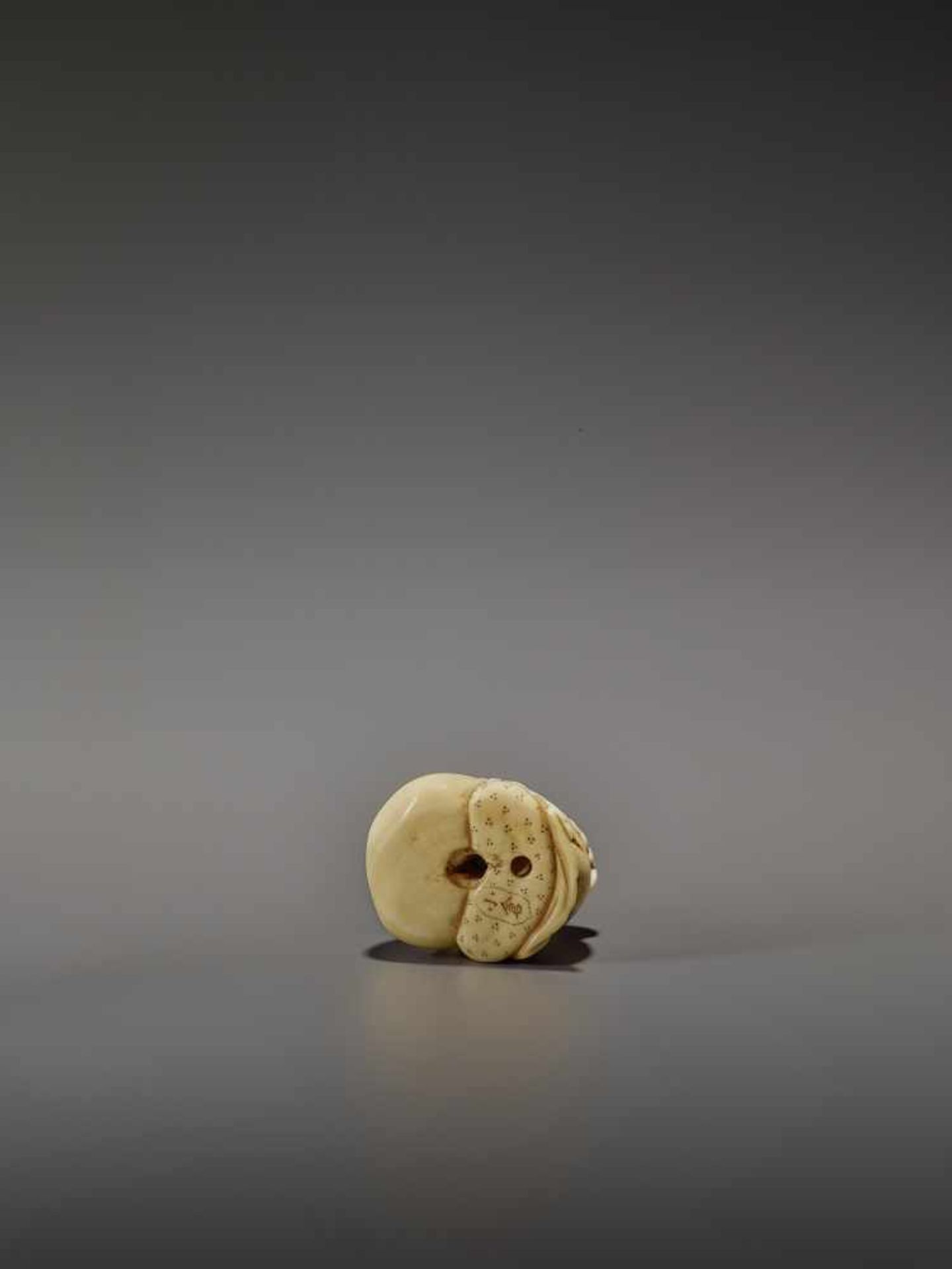 OKURA: A RARE IVORY NETSUKE OF KANNINBUKURO By Ogura Tomoyuki, signed OkuraJapan, Edo, mid-19th - Image 9 of 10