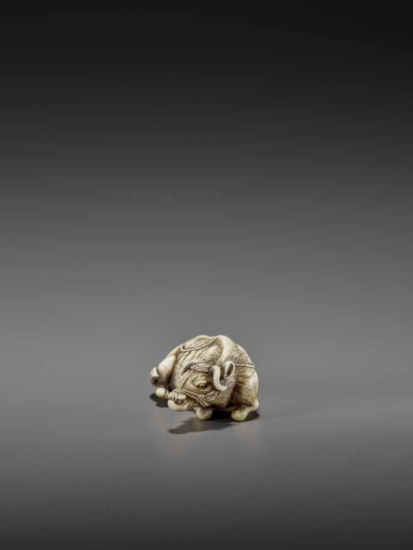 MASANAO: AN EXCELLENT IVORY NETSUKE OF A RECUMBENT COW By Masanao of Kyoto, signed MasanaoJapan, - Bild 2 aus 12