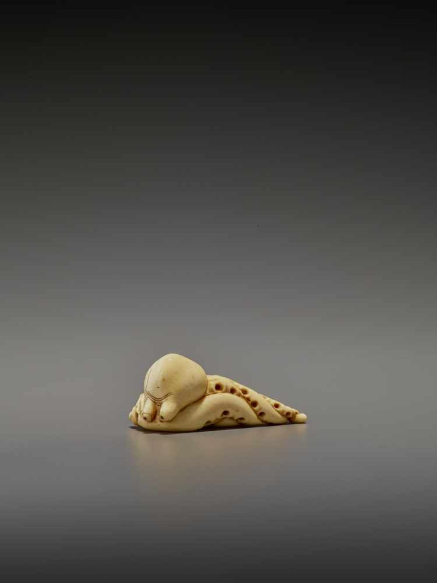 A RARE IVORY NETSUKE OF AN OCTOPUS UnsignedJapan, early 19th century, Edo period (1615-1868)The - Image 4 of 11