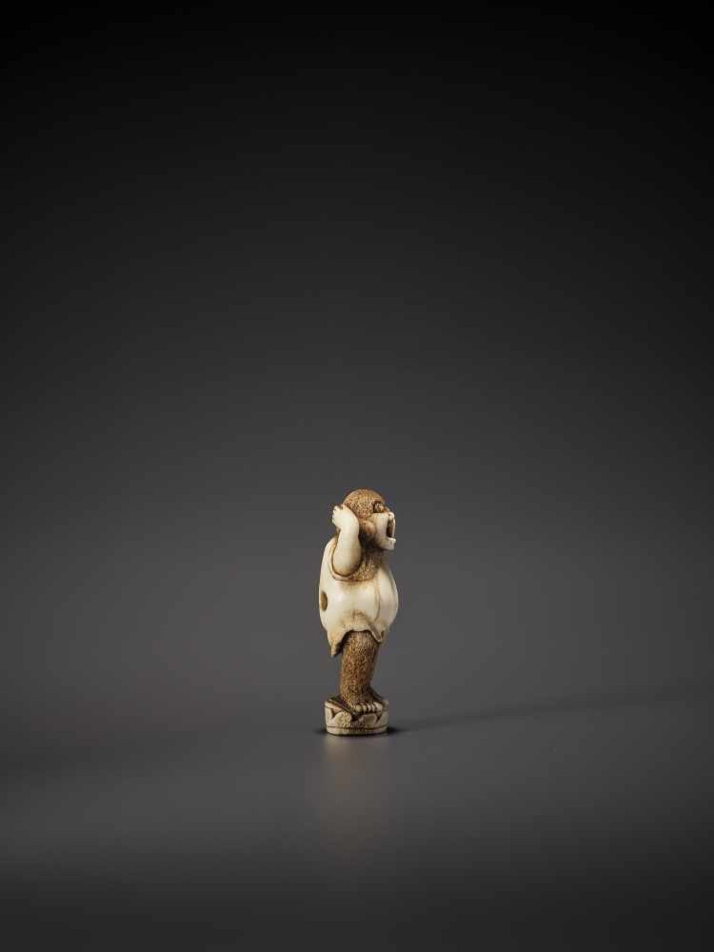 A BRILLIANT STAG ANTLER NETSUKE OF A YAWNING DARUMA UnsignedJapan, 19th century, Edo period (1615- - Image 7 of 10