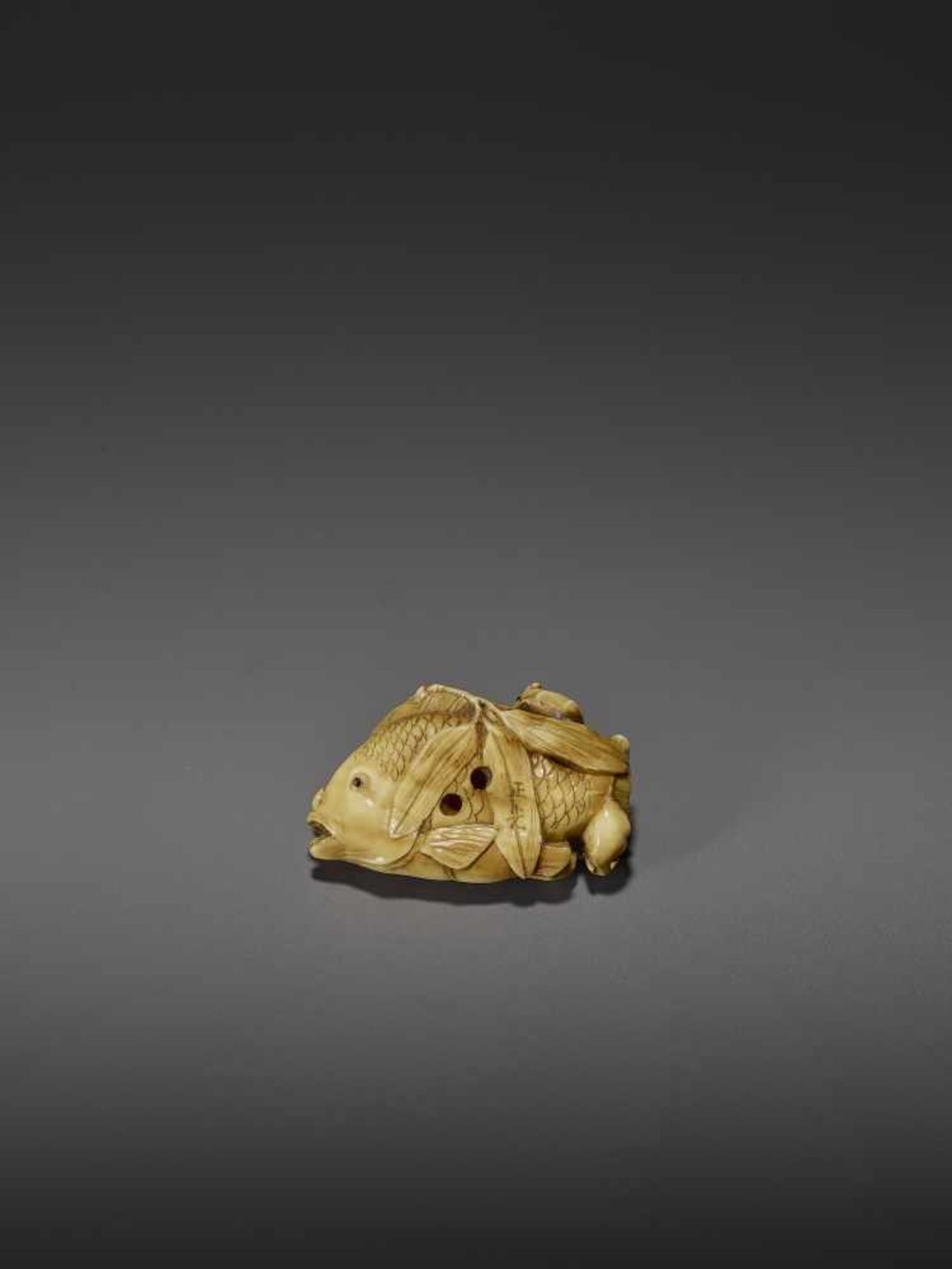 MASAMITSU: A FINE IVORY NETSUKE OF A SWARM OF RATS ON A SEA BREAM By Masamitsu, signed - Image 2 of 11