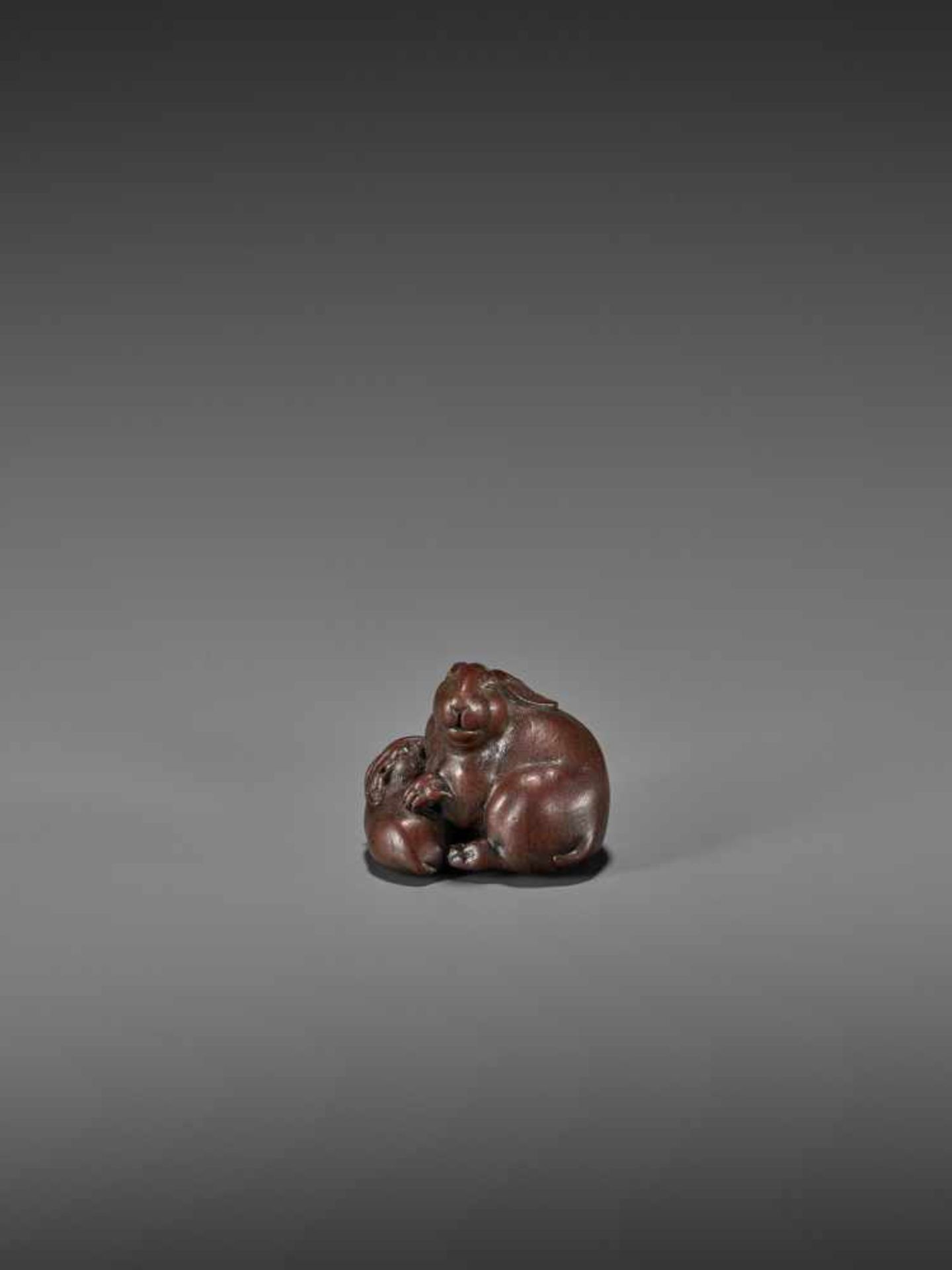 ICHIMIN: A FINE WOOD NETSUKE OF TWO RABBITS By Ichimin, signed Ichimin toJapan, Nagoya, early 19th - Image 6 of 11