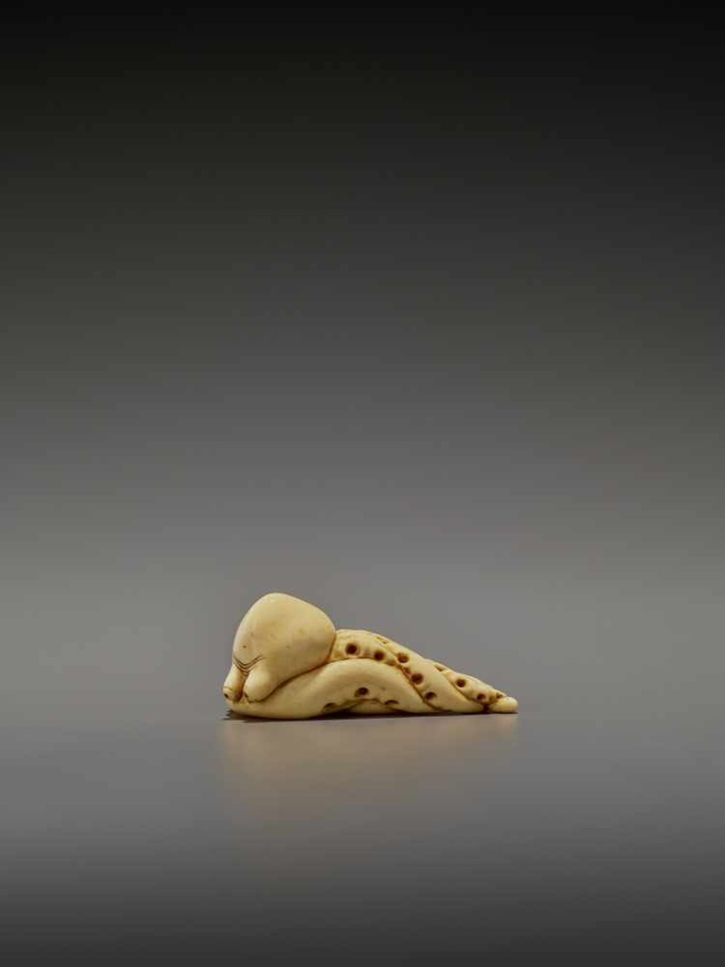 A RARE IVORY NETSUKE OF AN OCTOPUS UnsignedJapan, early 19th century, Edo period (1615-1868)The - Image 5 of 11